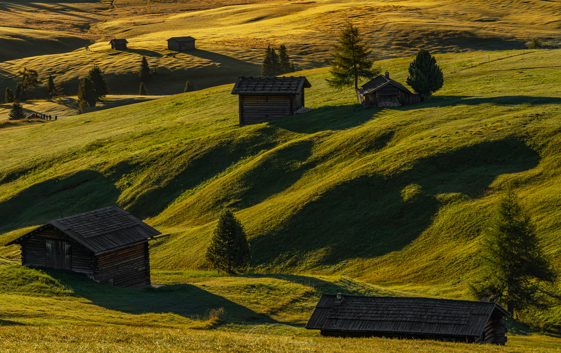 Alpe di Siusi