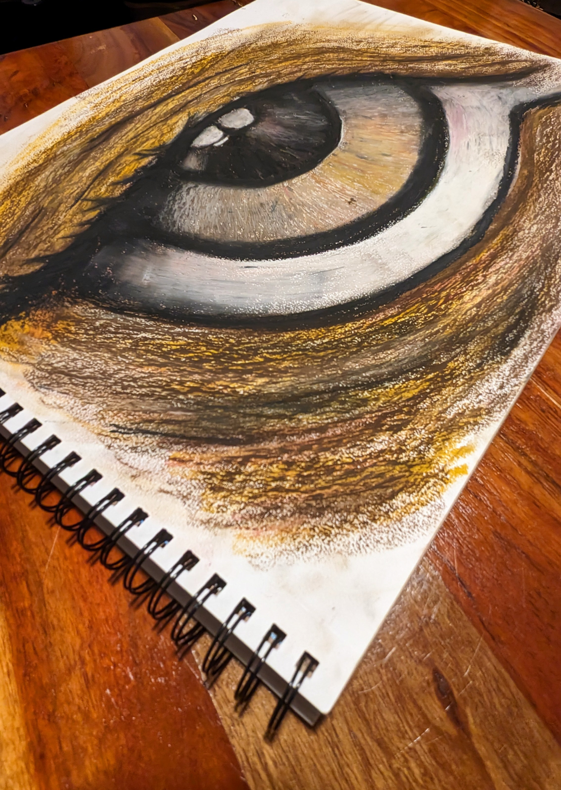 Pastel on paper, 2023