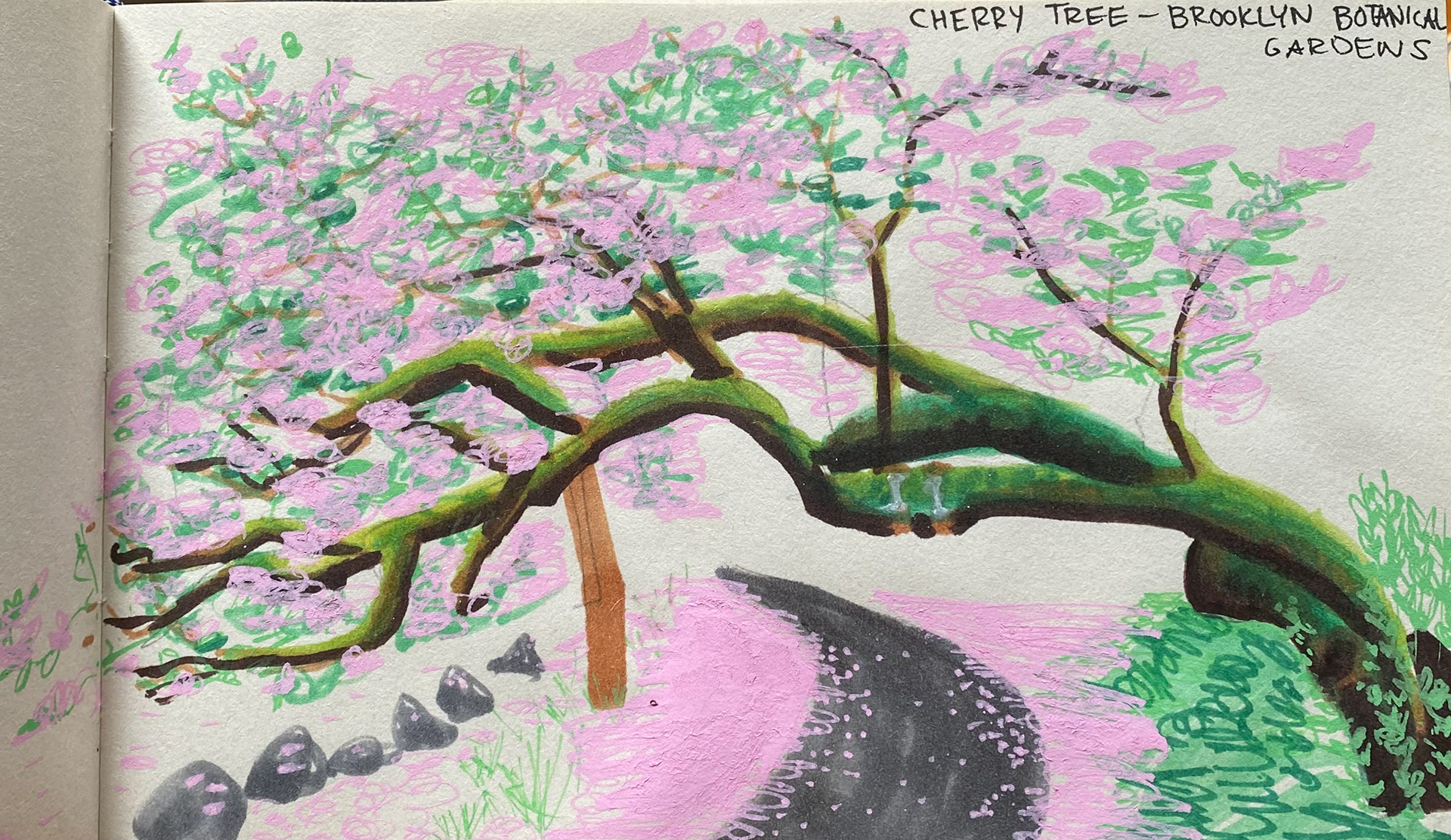Cherry Blossom Tree of Brooklyn Botanical Gardens