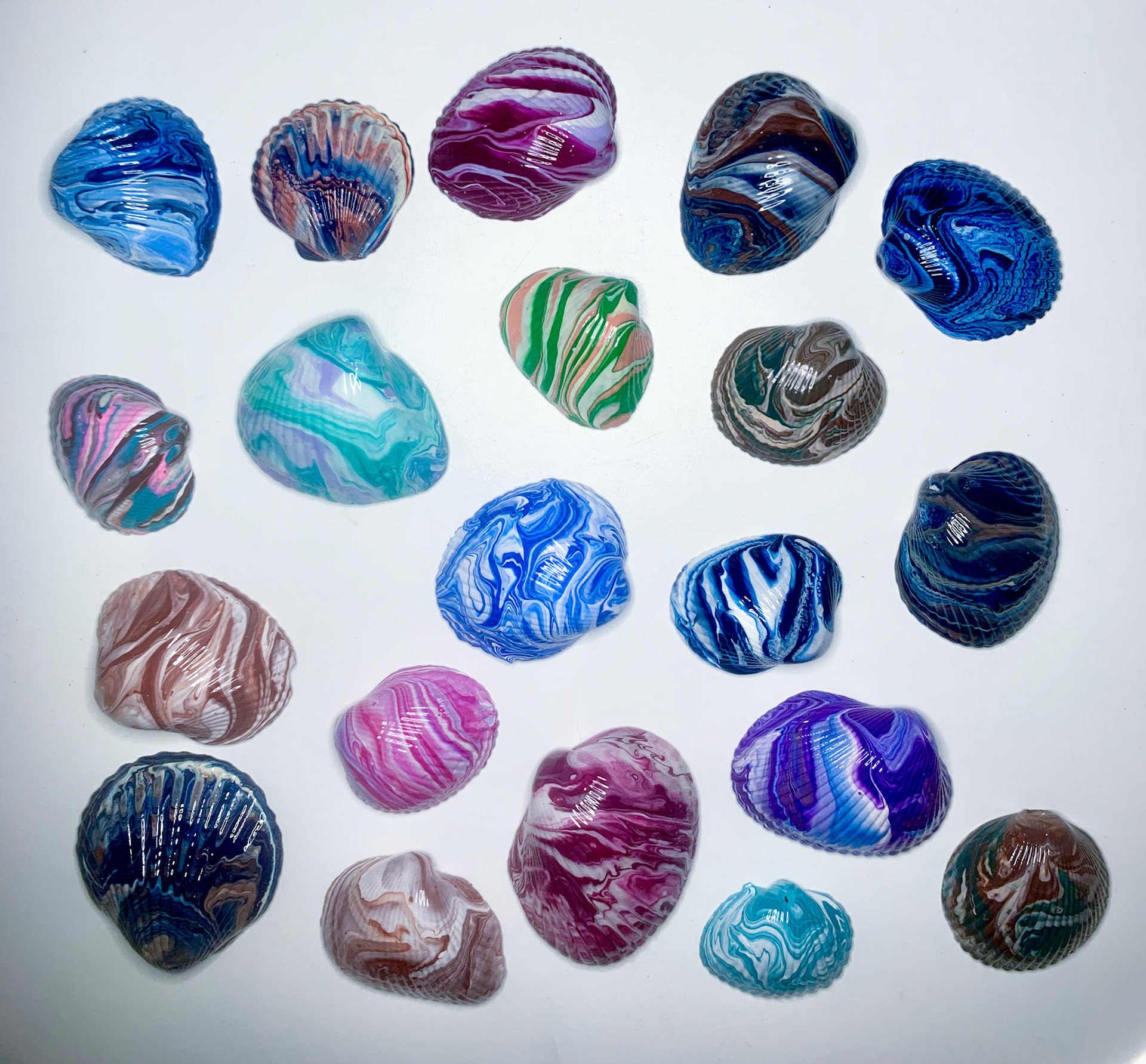 Assorted Shells