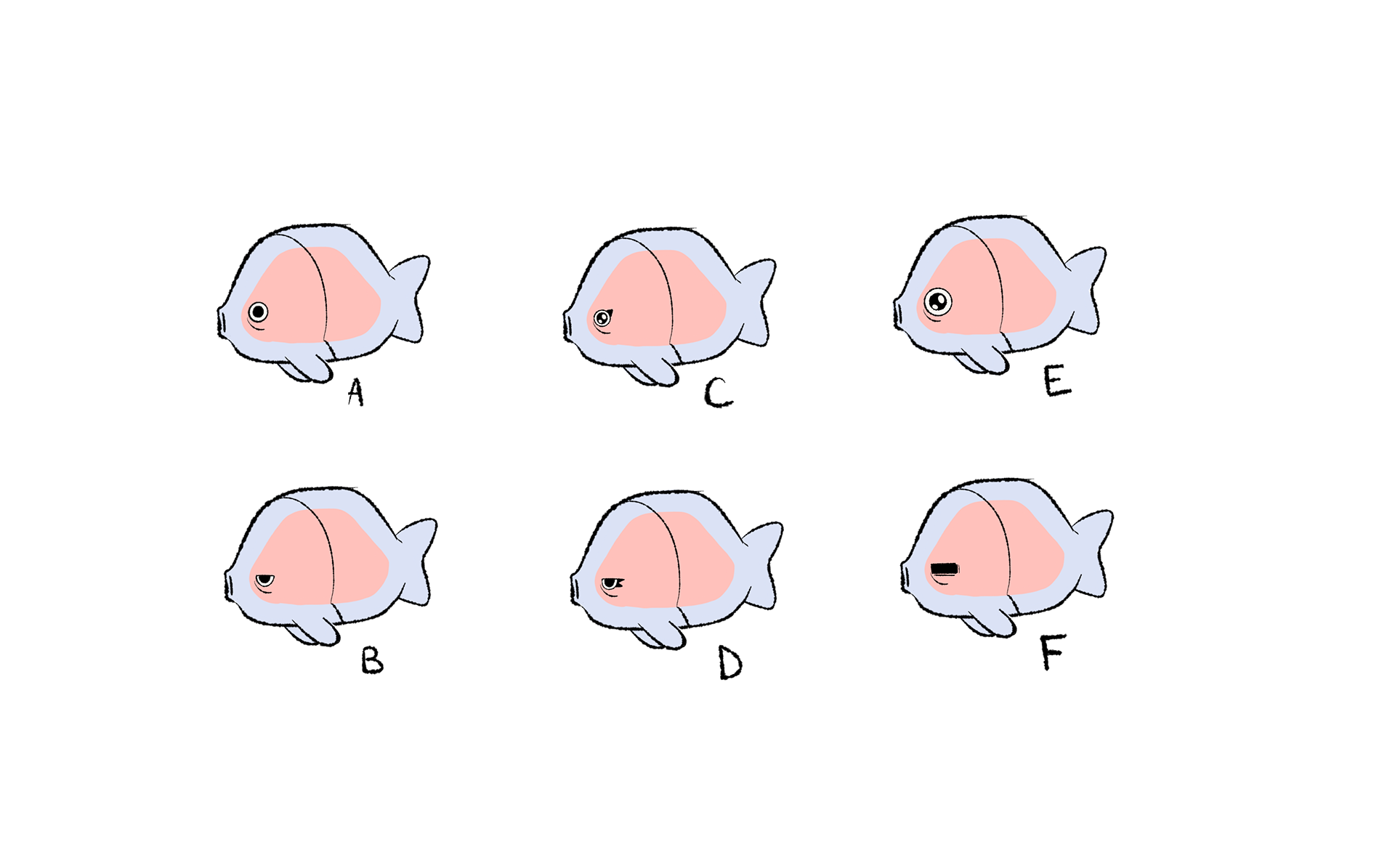 Fish - colors