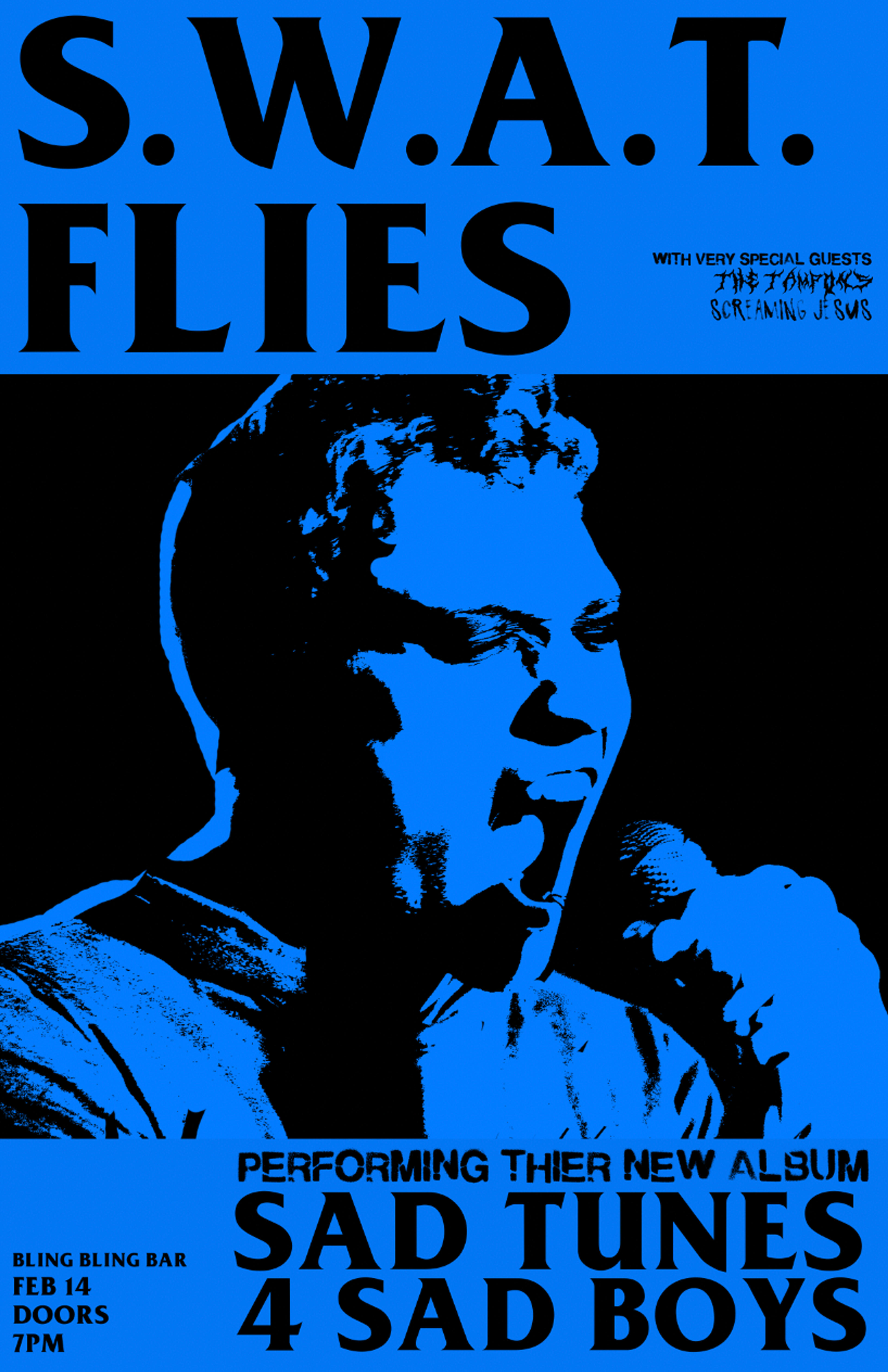 Fake band poster design for S.W.A.T. FLIES, used in the CABC Webseries (2020)