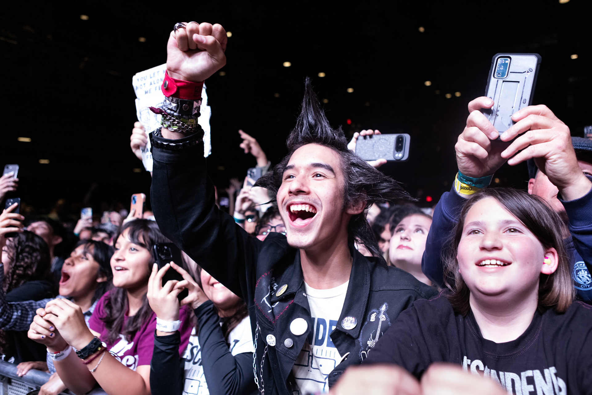 Descendents Fans