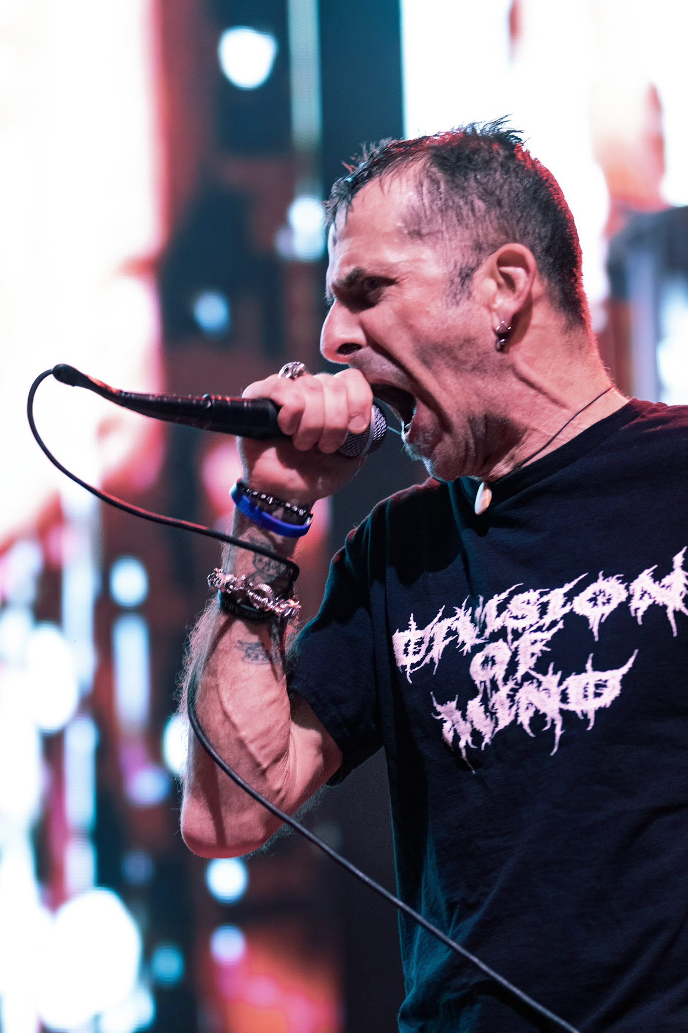 Lamb of God