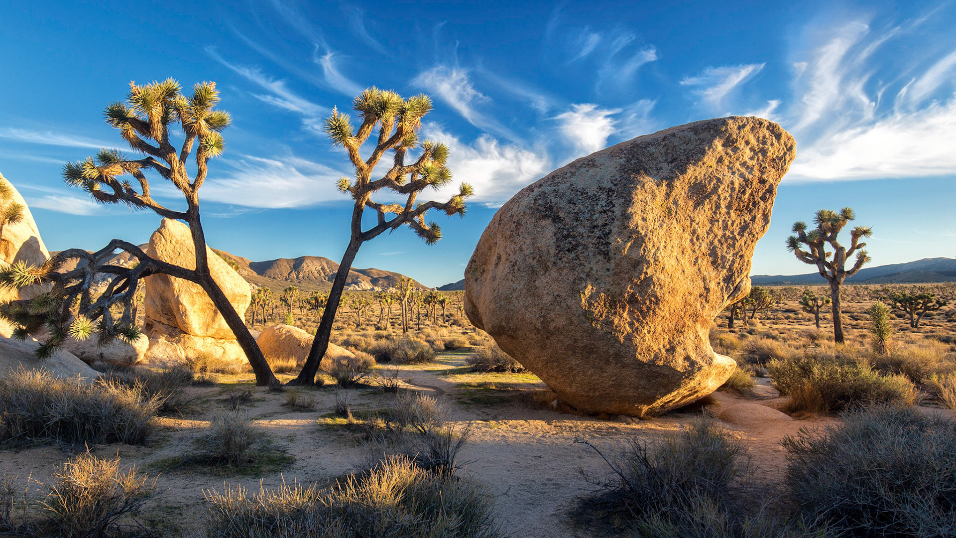 Joshua Tree National Park, California