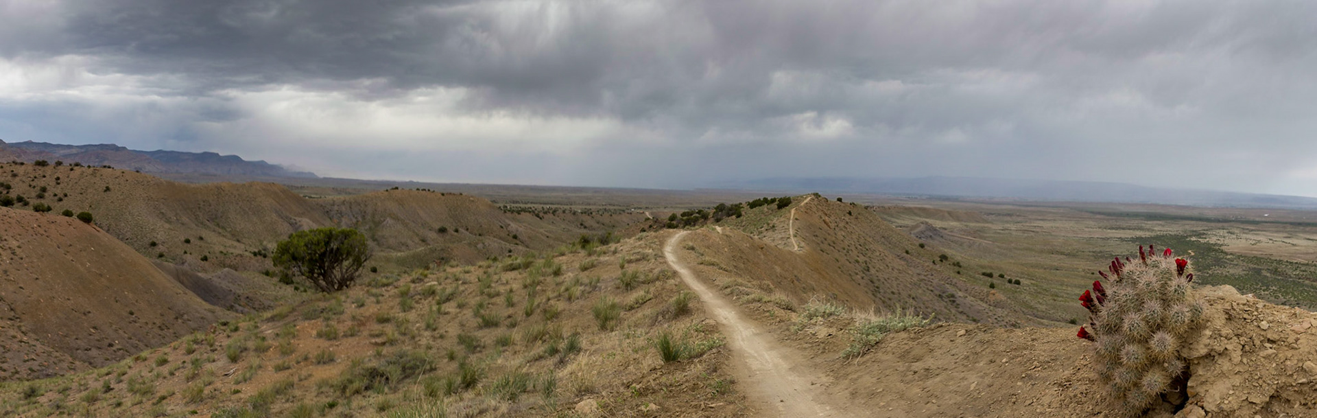 Fruita, Colorado