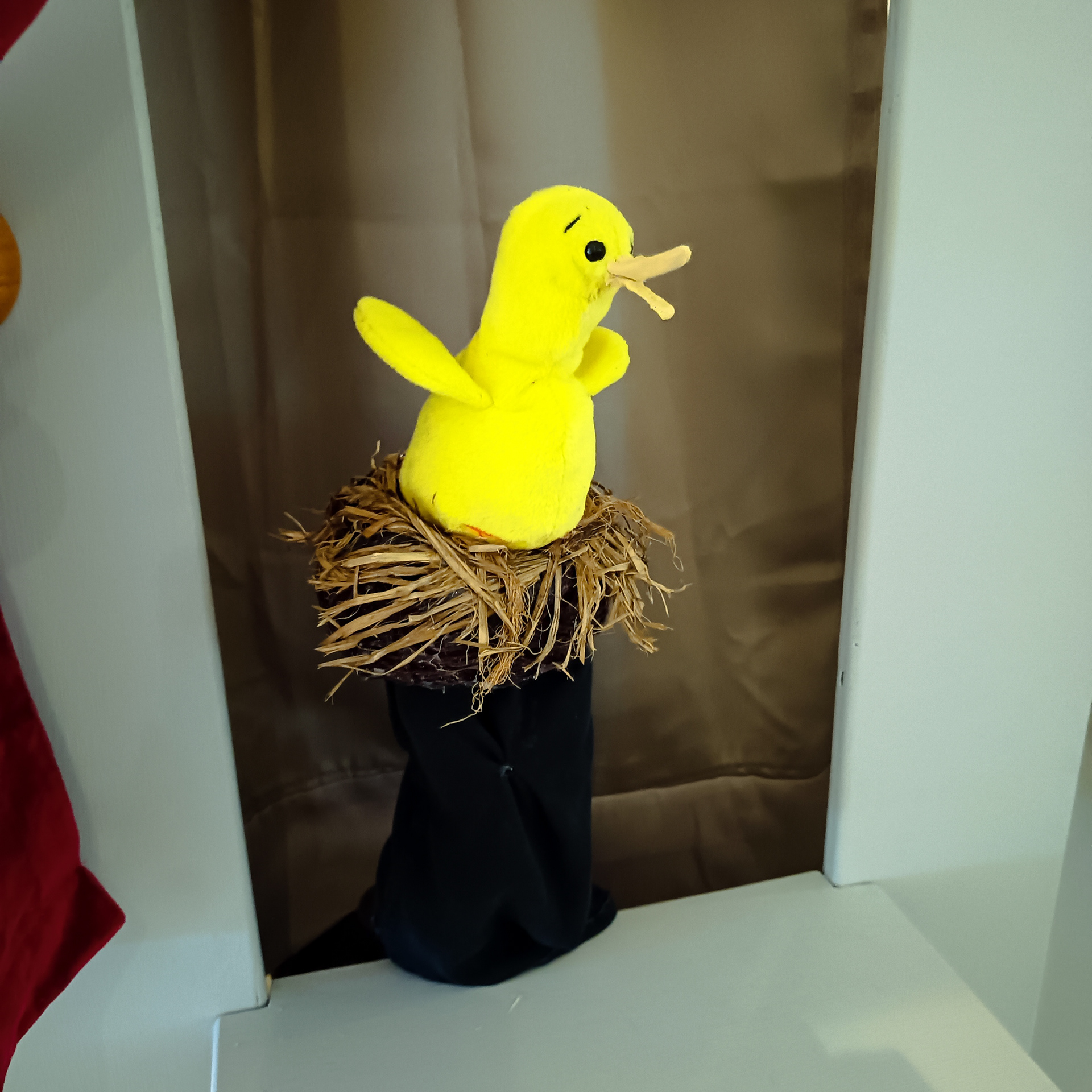 'Mary' the Chatty Canary