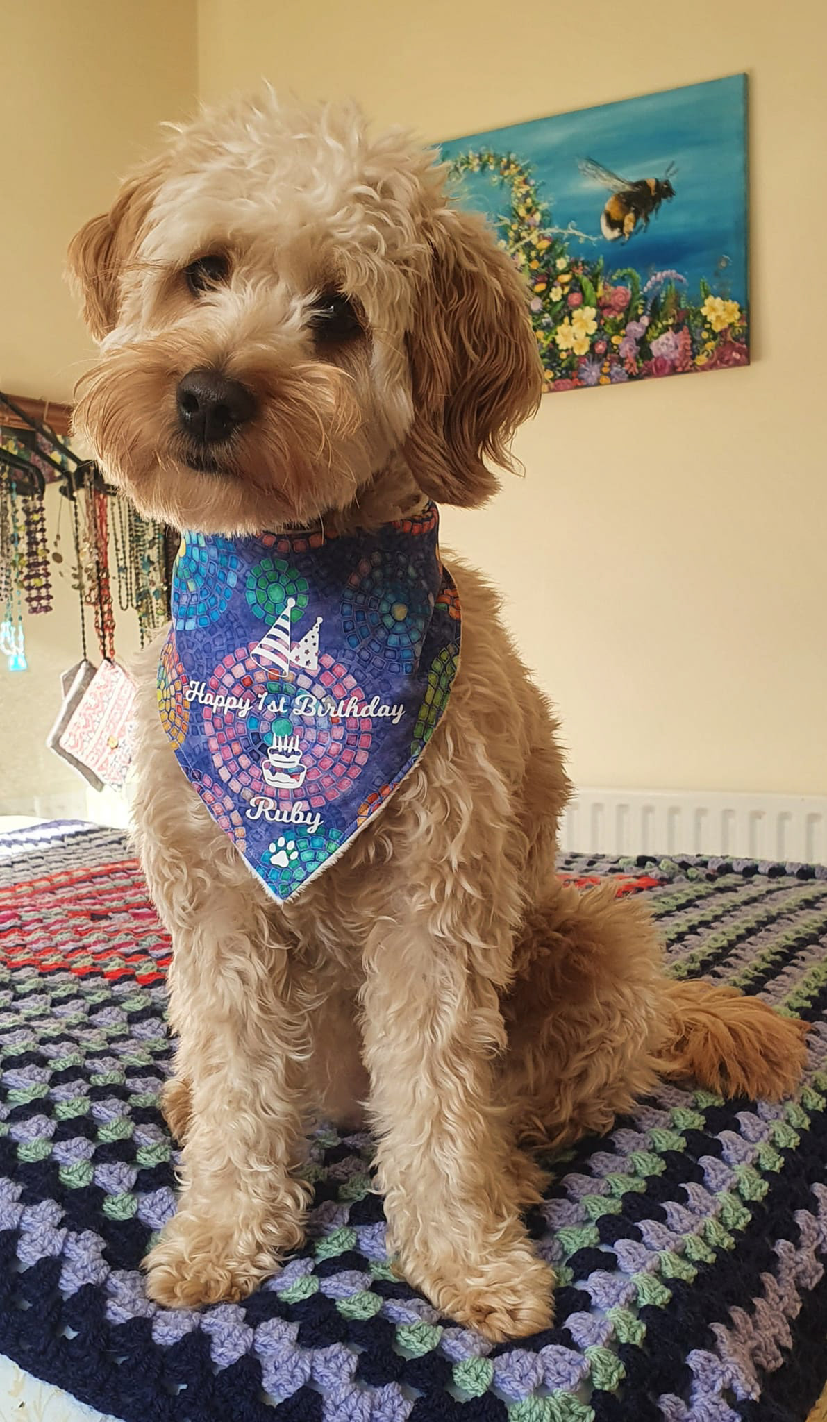 Doggie Bandanas