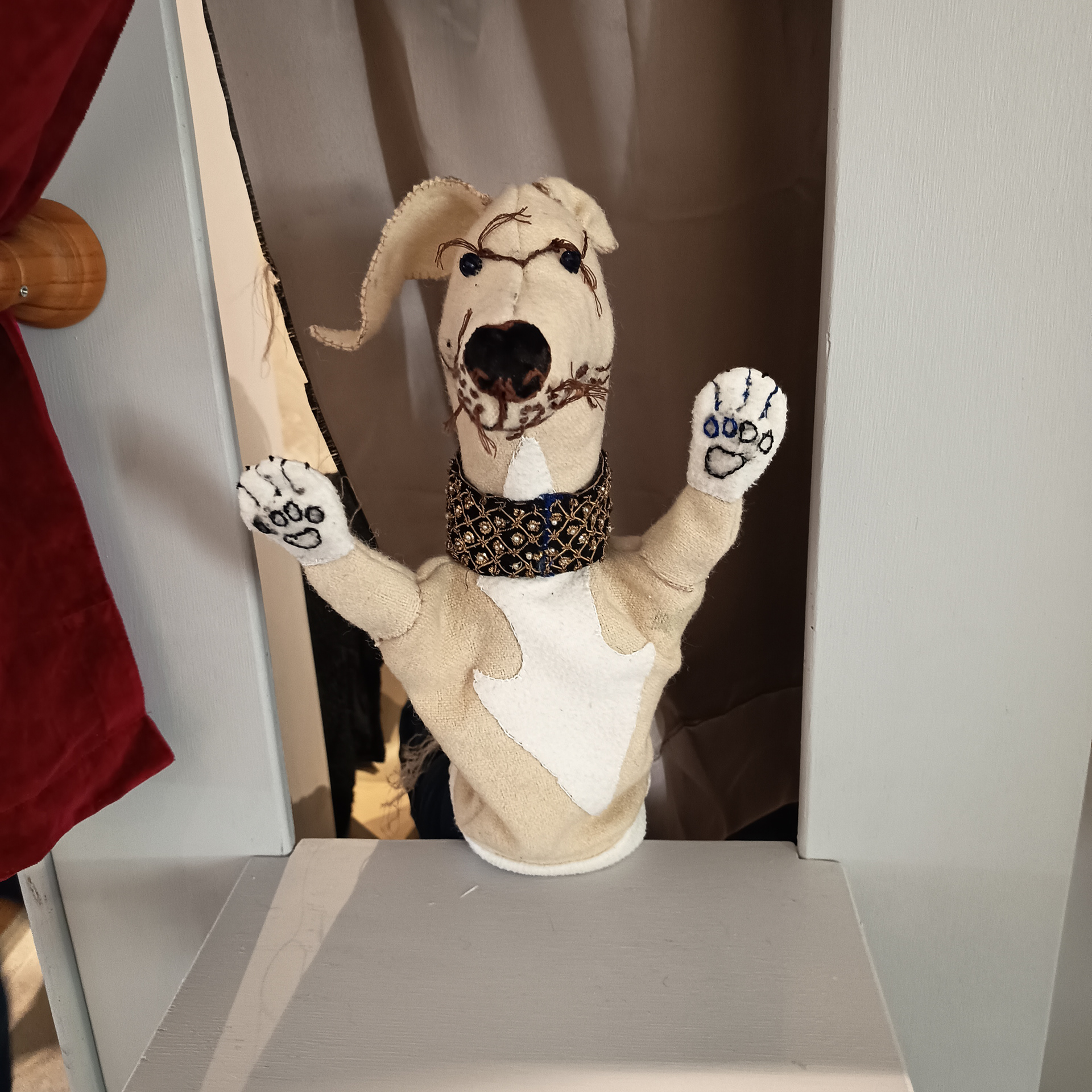 'Desmond' the muscley hound
