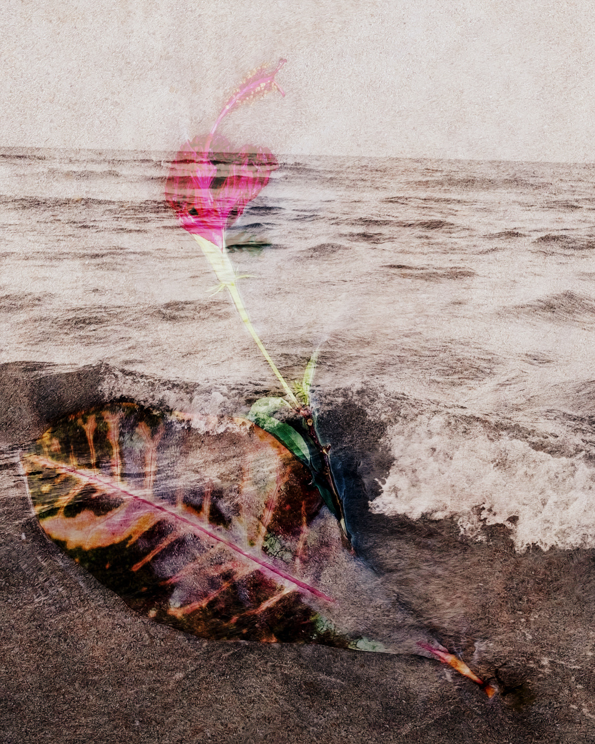 Flower Sea I 