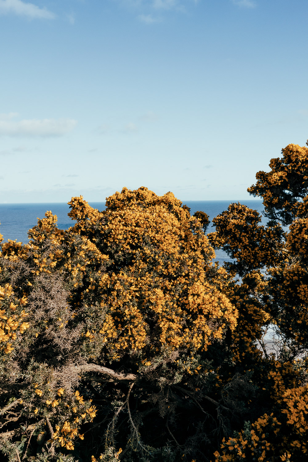 Cromer, Norfolk UK, 2023