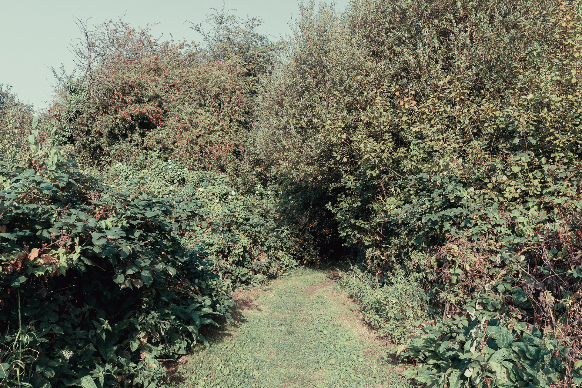 Hackney Marshes, London