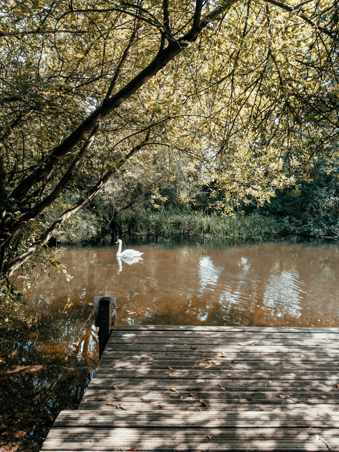 Dedham Vale, England UK, summer 2024