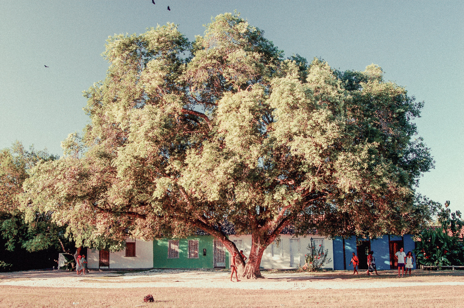 Quadrado, 2007