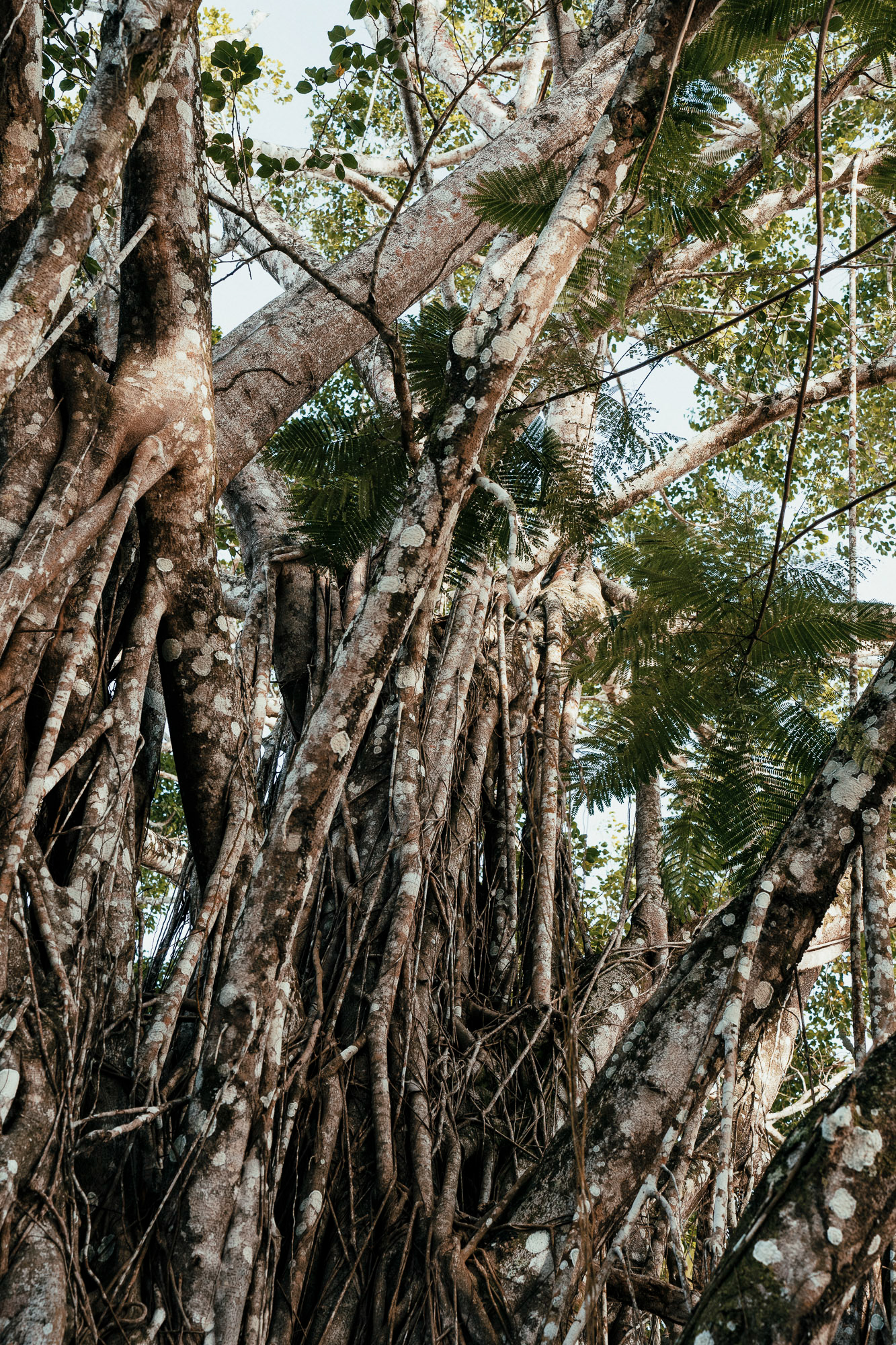 Trancoso, Brazil