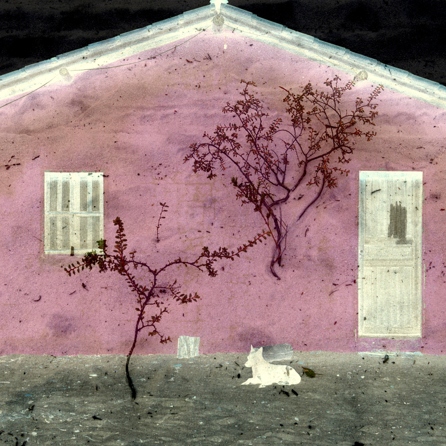 'Disquiet'. The image was taken in Portugal in the summer of 2019, while I was exploring the back streets of Belém, one of Lisbon's prettiest neighbourhoods. The encounters of shadows and light, the charming architecture, the vivid colours, they all contributed to a kind of daydream experience. Fernando Pessoa once said, "Literature is the most agreeable way of ignoring life". Combining everyday images is my way of inventing beauty yet nevertheless ignoring life too.