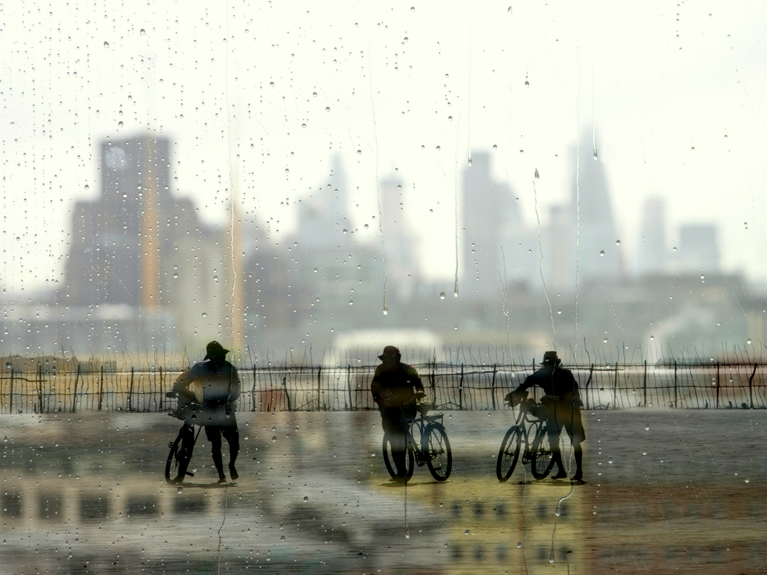 Three Cyclists 