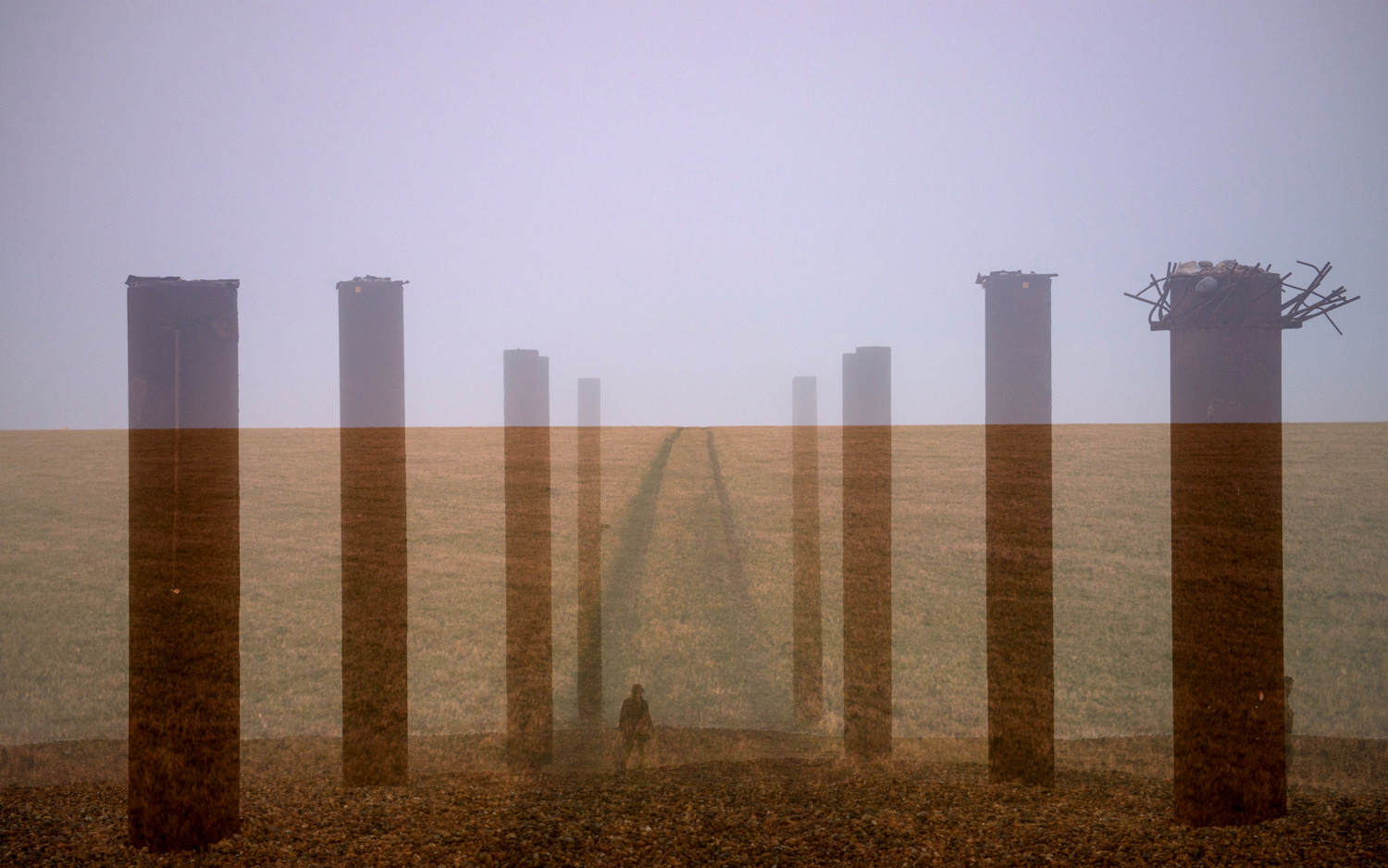 South Downs 