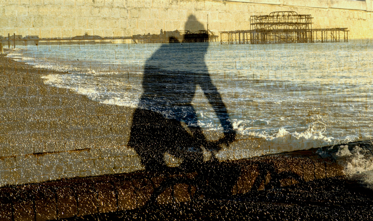 Cyclist 