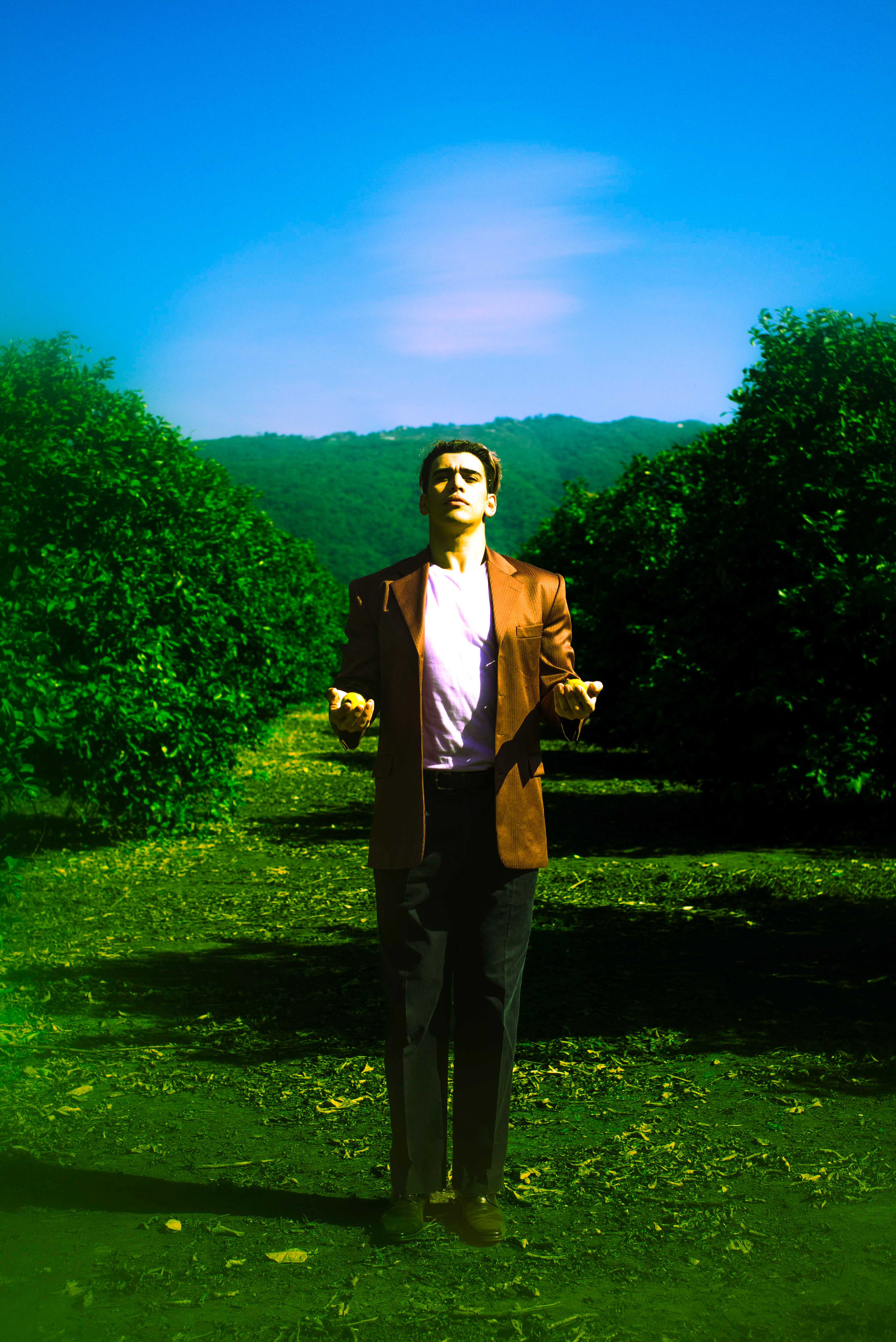 Have you maide your choice? he asked. 