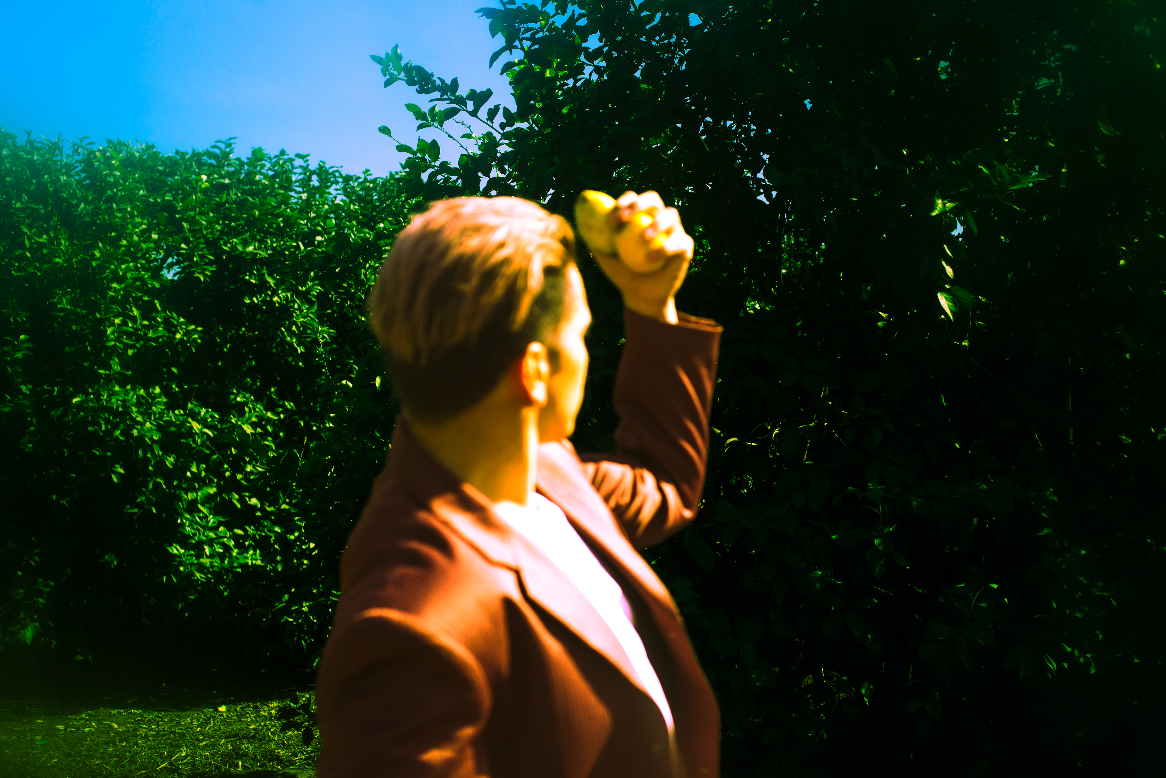 Great choice! he exclamed.