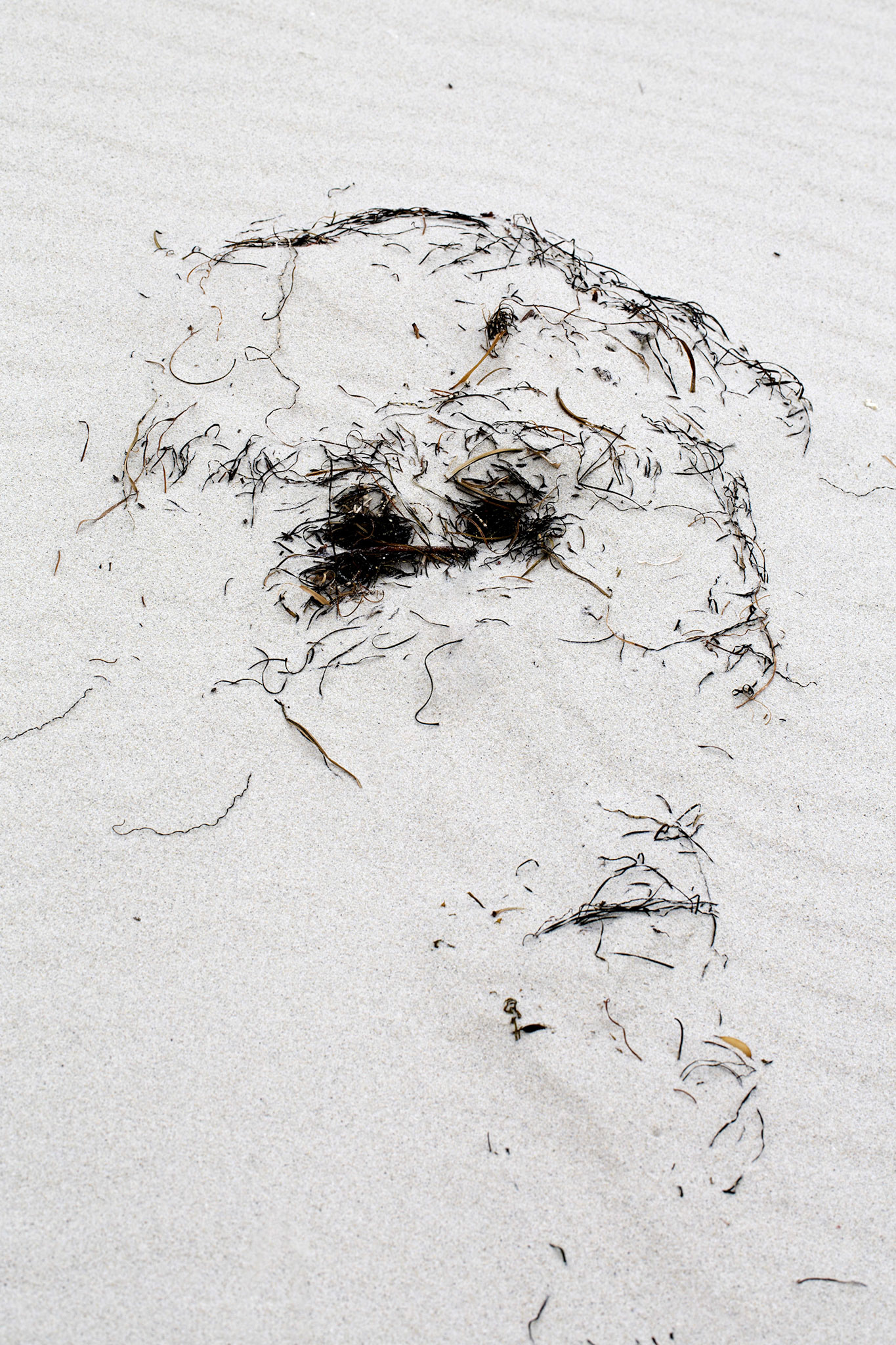 Jane Soodalter - Tidal Portrait - photograph - www.janesoodalter.com