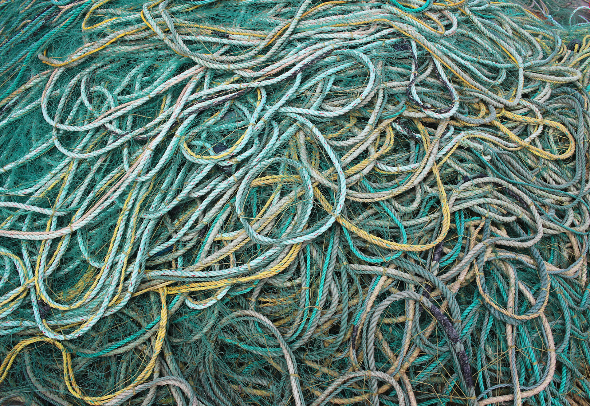 Richard LeBlond - Rope - photography