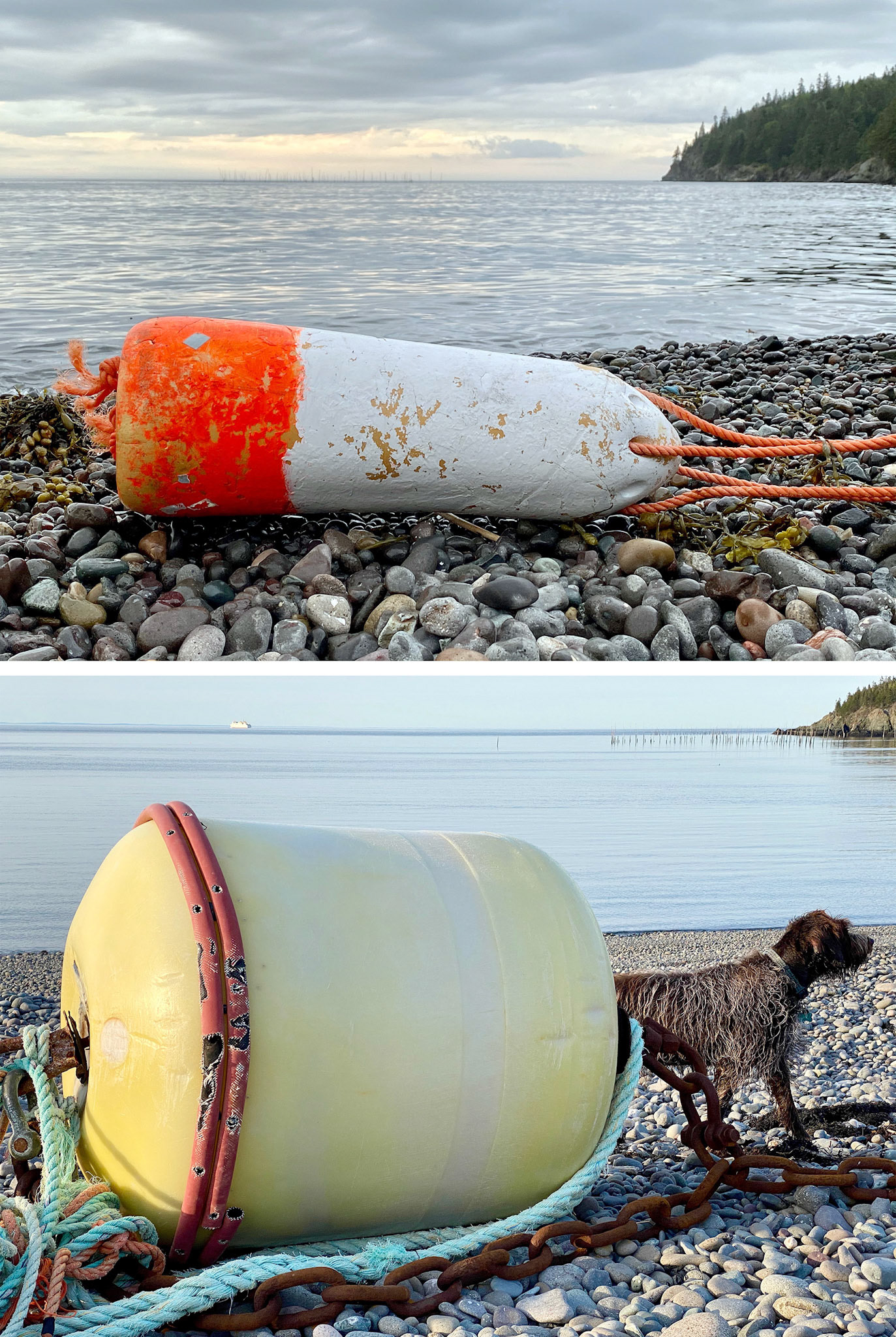 MJ Edwards [Portfolio Selection] - Lost Buoys of Whale Cove - photography - www.mjedwards.ca