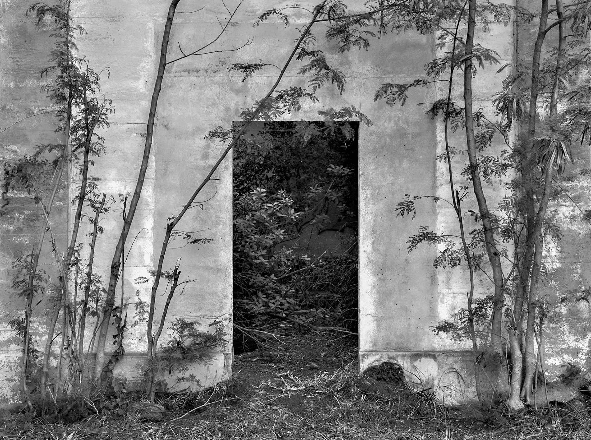 Andrew Ilachinski [Recognized for Exceptional Composition and Design]  [Portfolio Selection] - Entropic Portals (series) - photography - www.andy-ilachinski.com