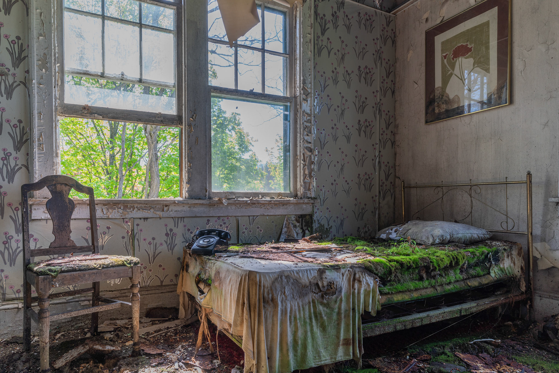Diane Danthony [Best in Show]  [Portfolio Selection] - Sleeping with Nature - photography - www.dianedanthonyphotography.com