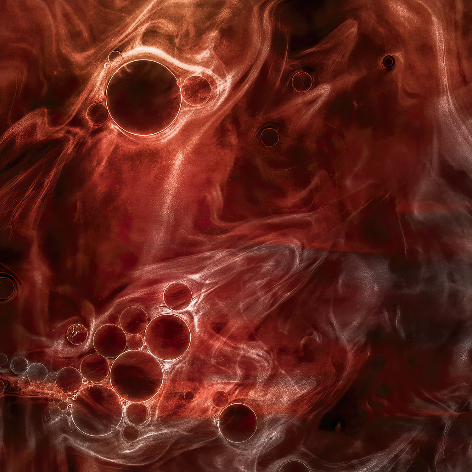 Andrew Ilachinski - Heraclitean Fire (series)) - photograph - www.andy-ilachinski.com