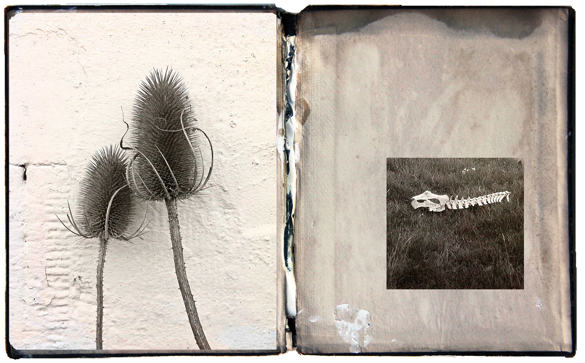 Cary Loving [Portfolio Selection] - Rest - digital composite - caryloving.com