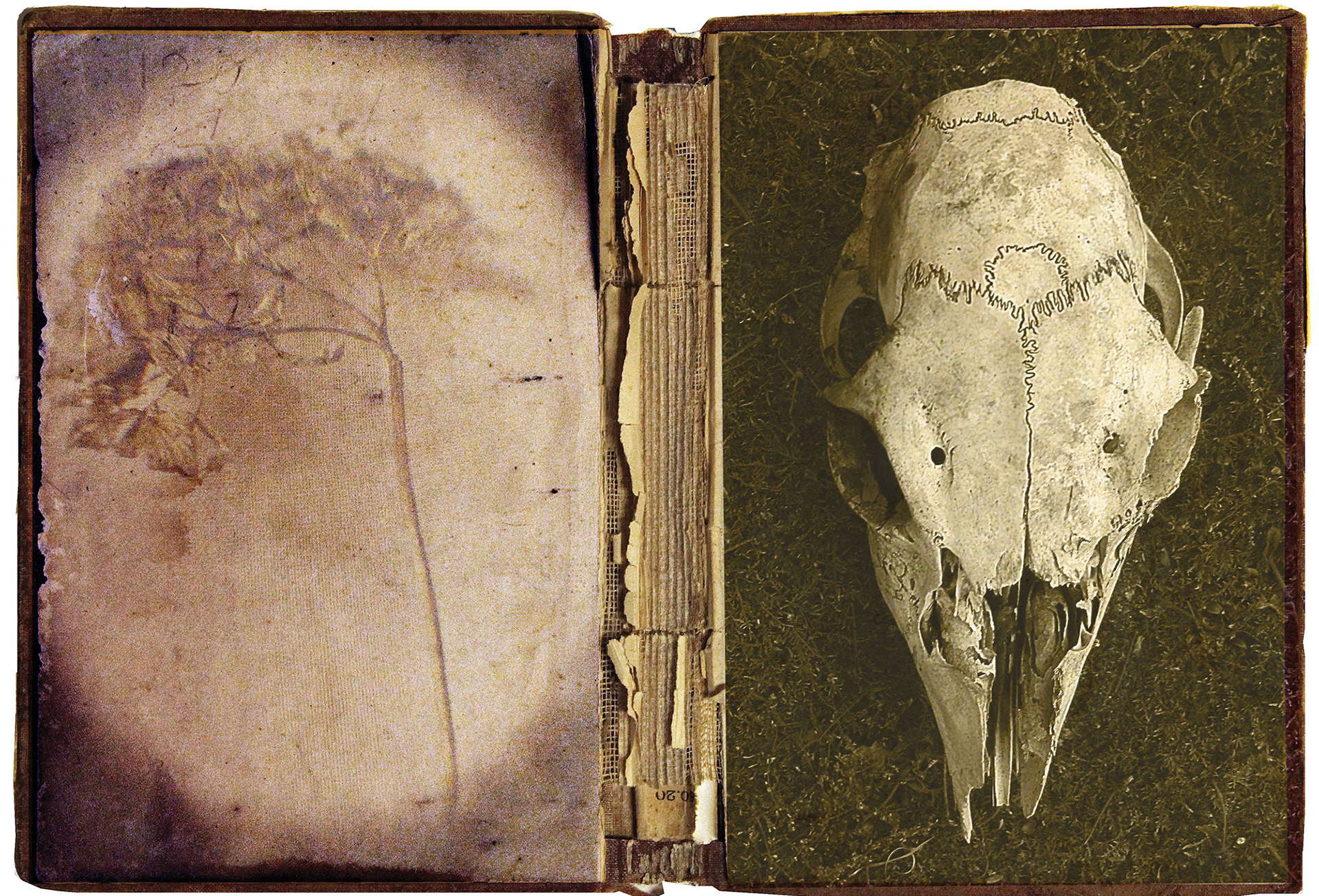 Cary Loving [Portfolio Selection] - Time - digital composite - caryloving.com