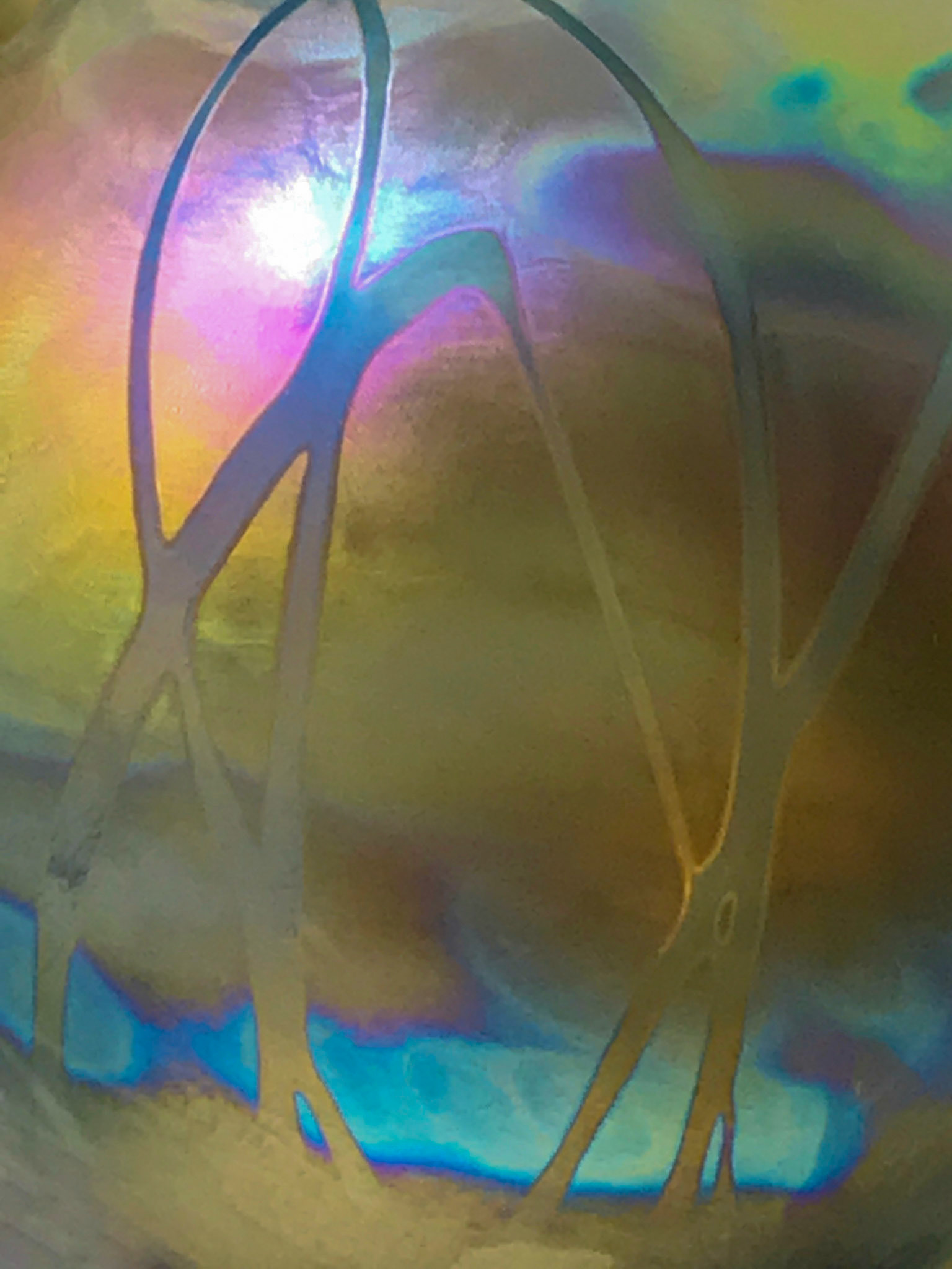 Susan Ruach (Award for Distinctive Interpretation of Theme)  - Dance of My Soul - susanruachphotography.com