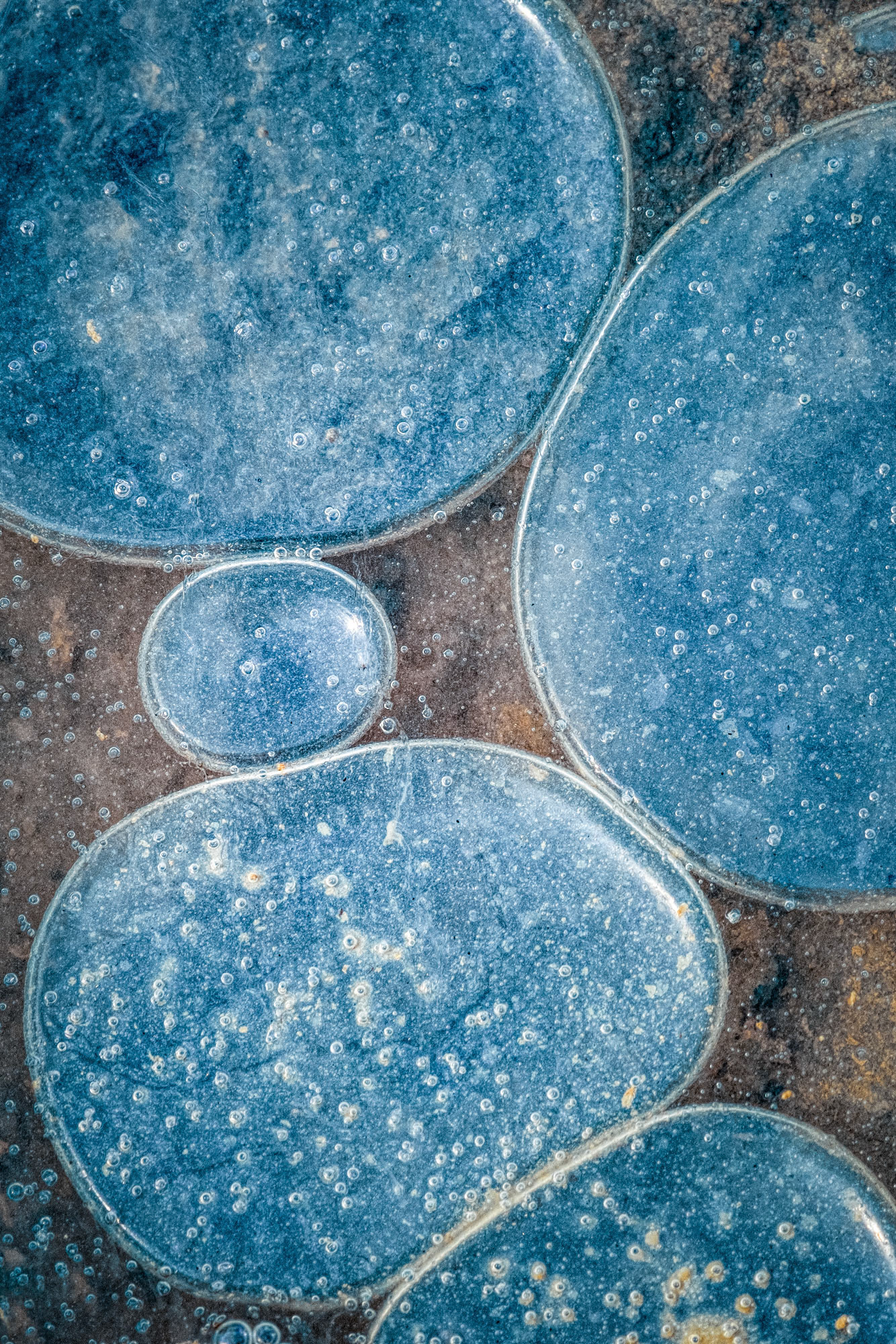 Abby Raeder - Interdependence - photograph - www.abbyraeder.com