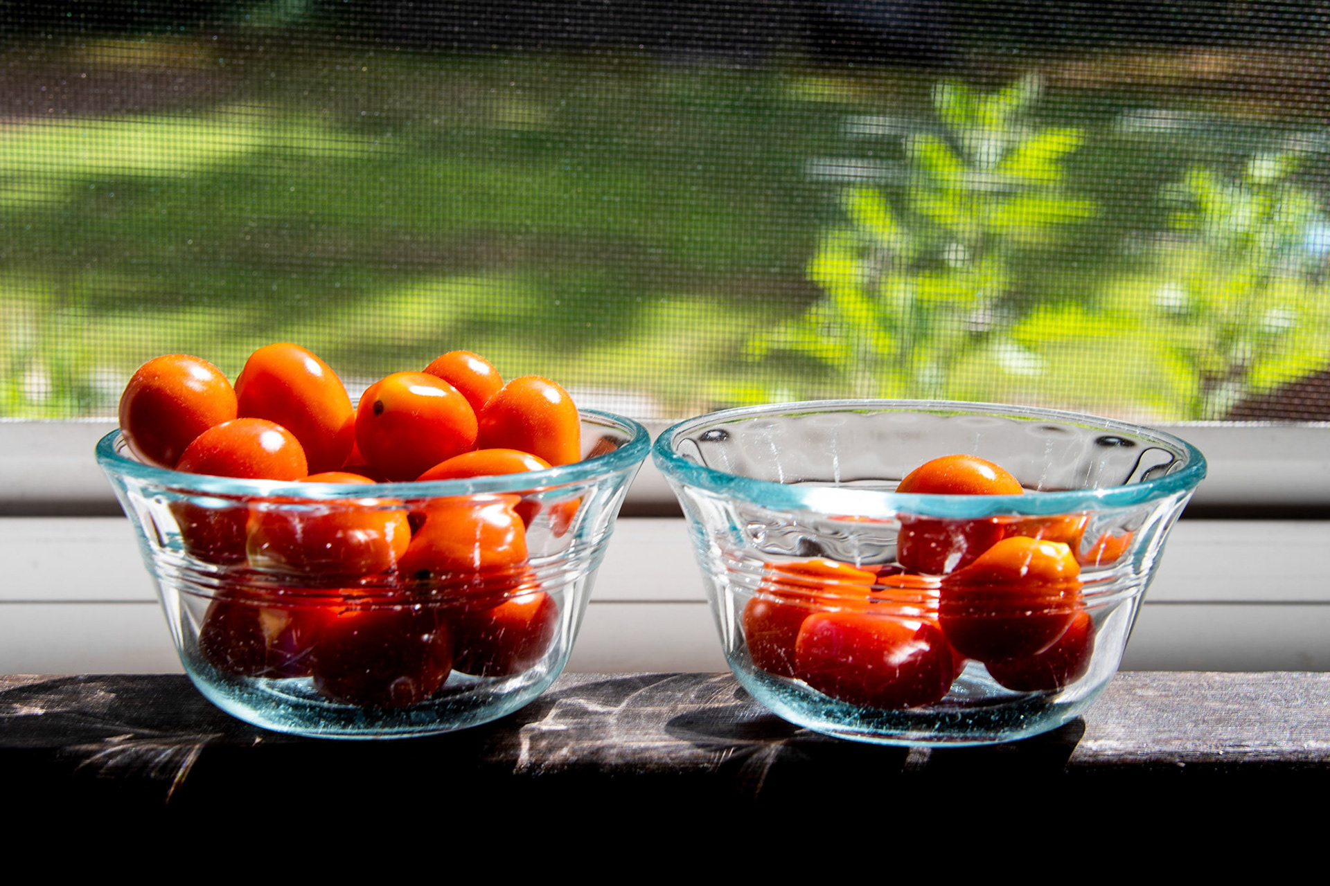 Robert Bicknell - On the Windowsill - photograph - robertbicknellphoto.com