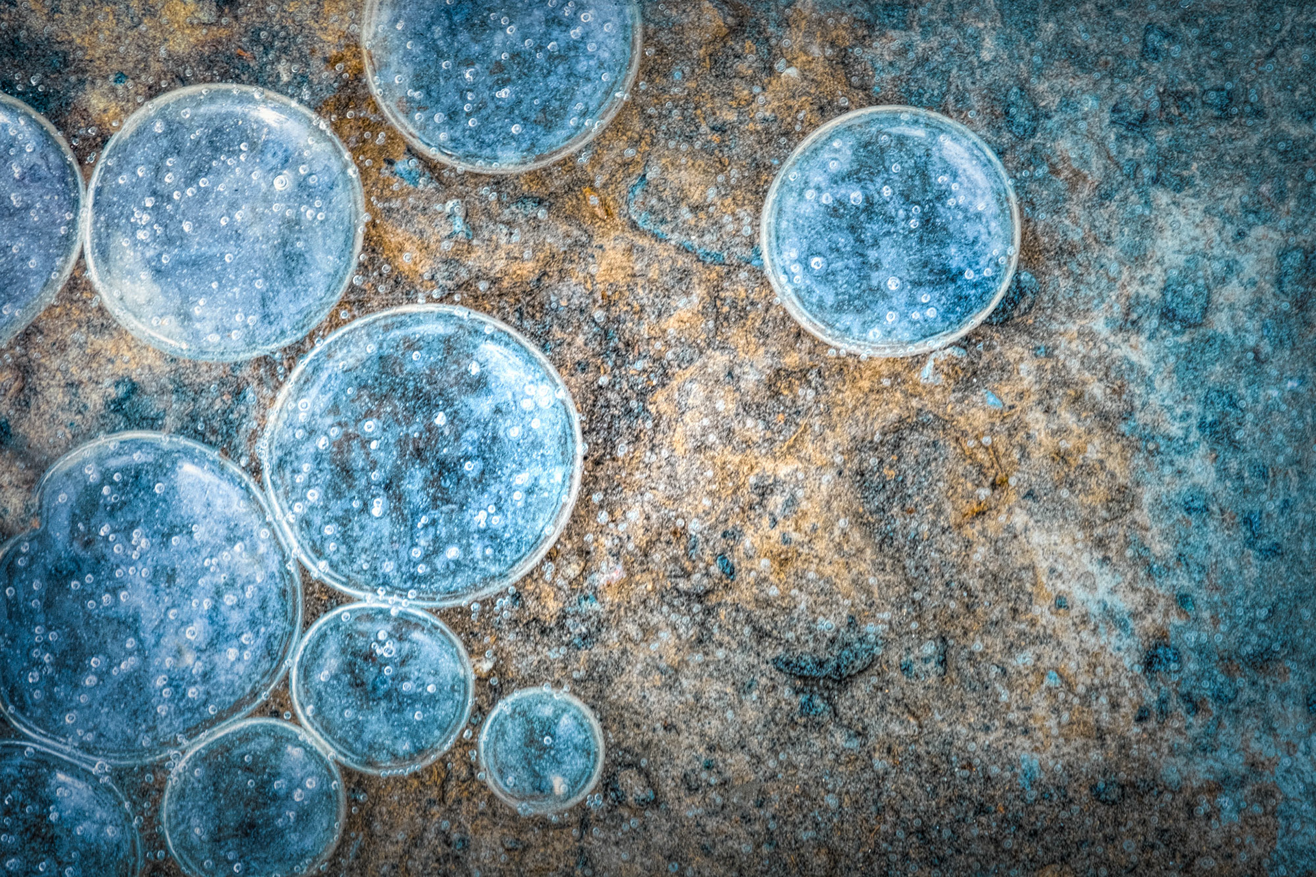 Abby Raeder - Engaged - photograph - www.abbyraeder.com