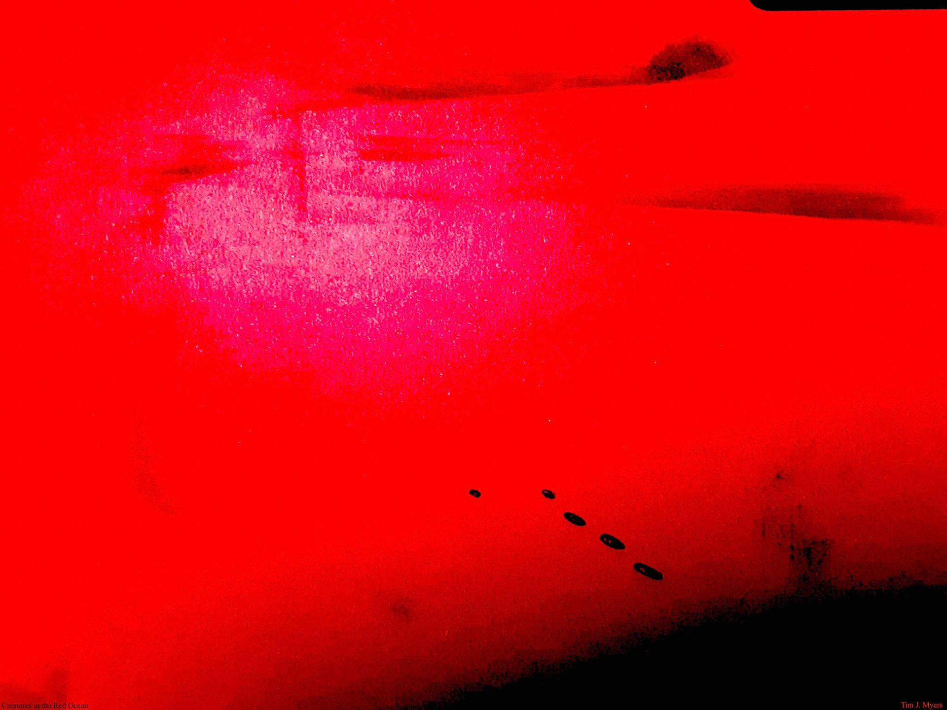 Tim J. Myers - Creatures in the Red Ocean - mixed media - www.timmyersstorysong.com