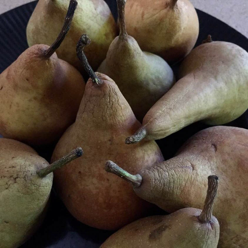 Amanda Yskamp - Pears - photograph