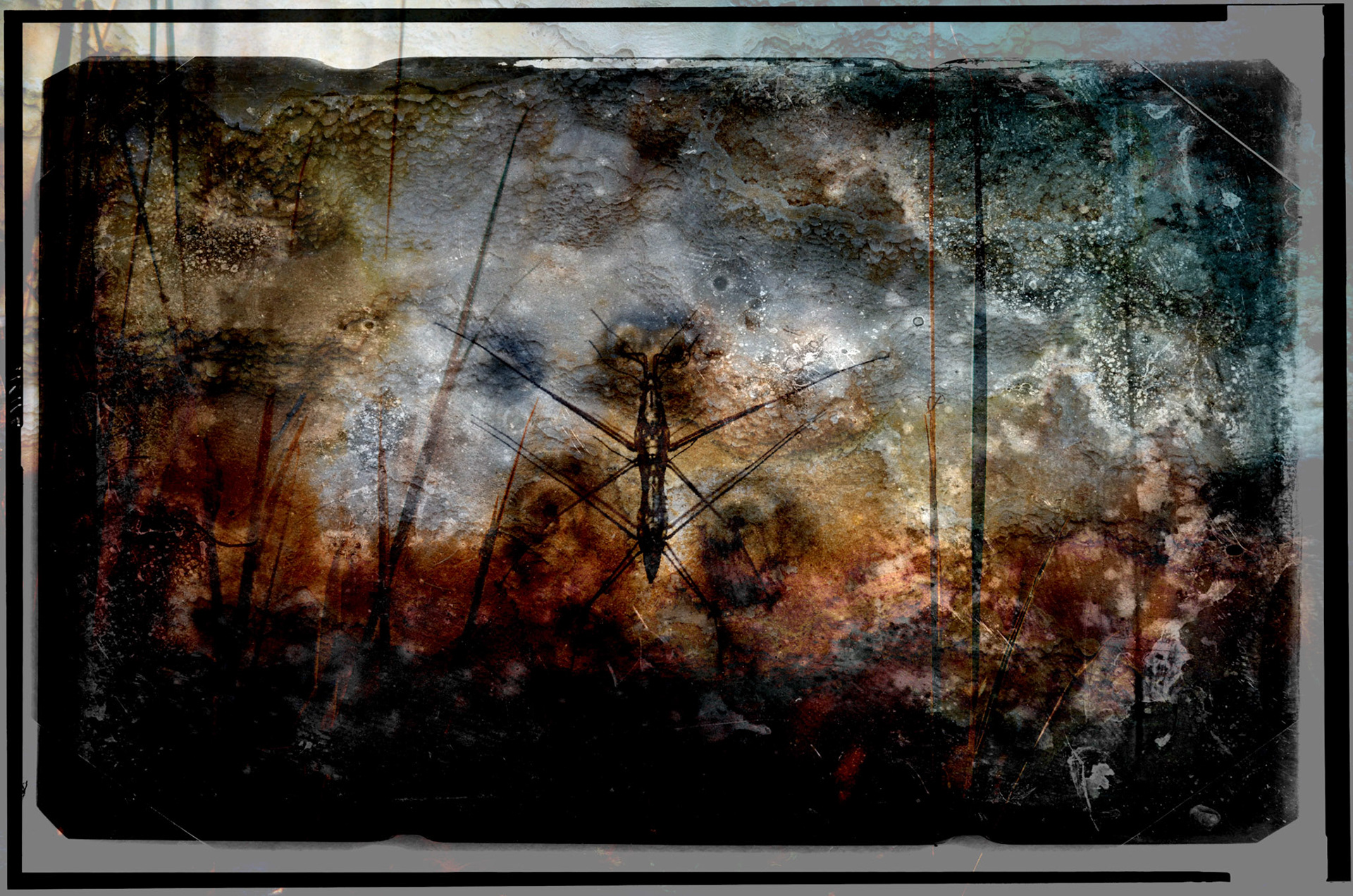 Douglas W. Milliken - Strider - douglaswmilliken.com