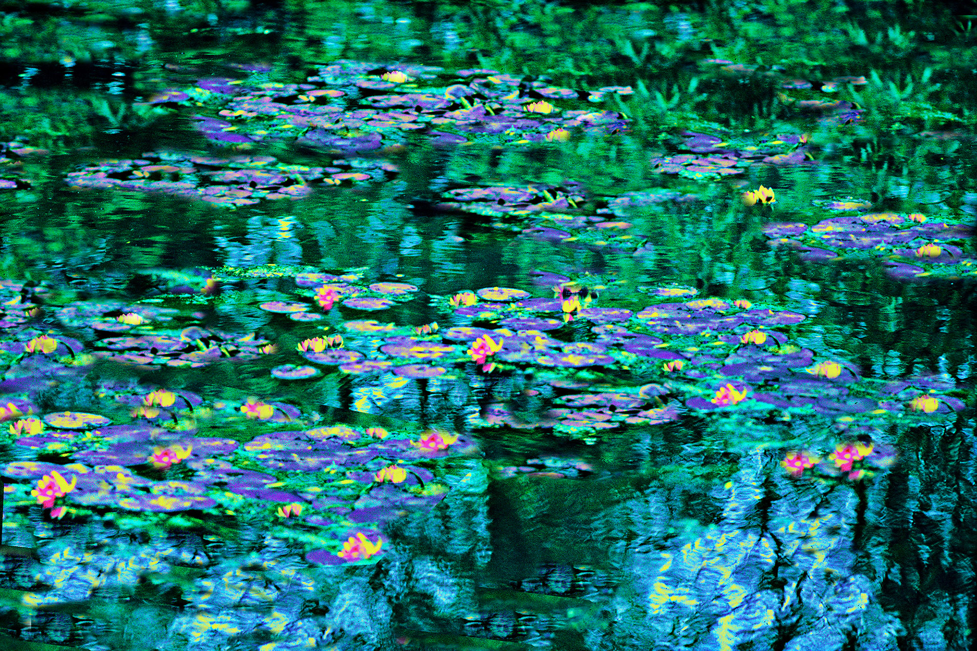 Jane Gottlieb [Best in Show and Portfolio Artist]  |  Monet's Water Lilies  |  photography enhanced, painted and collaged with photoshop   |  www.janegottlieb.com