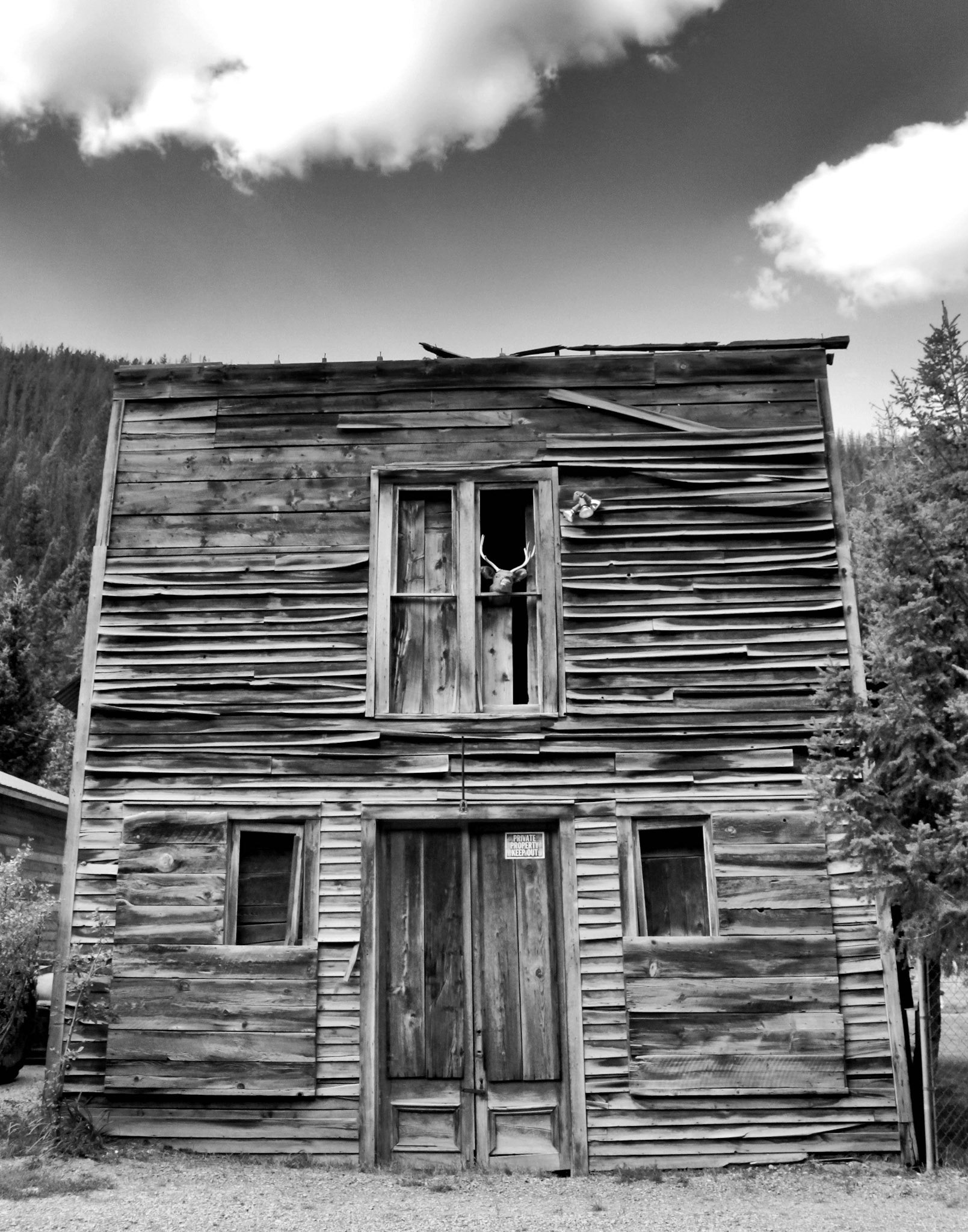 Hall Jameson [Portfolio Selection] - Window Dressing - photography - halljameson.com