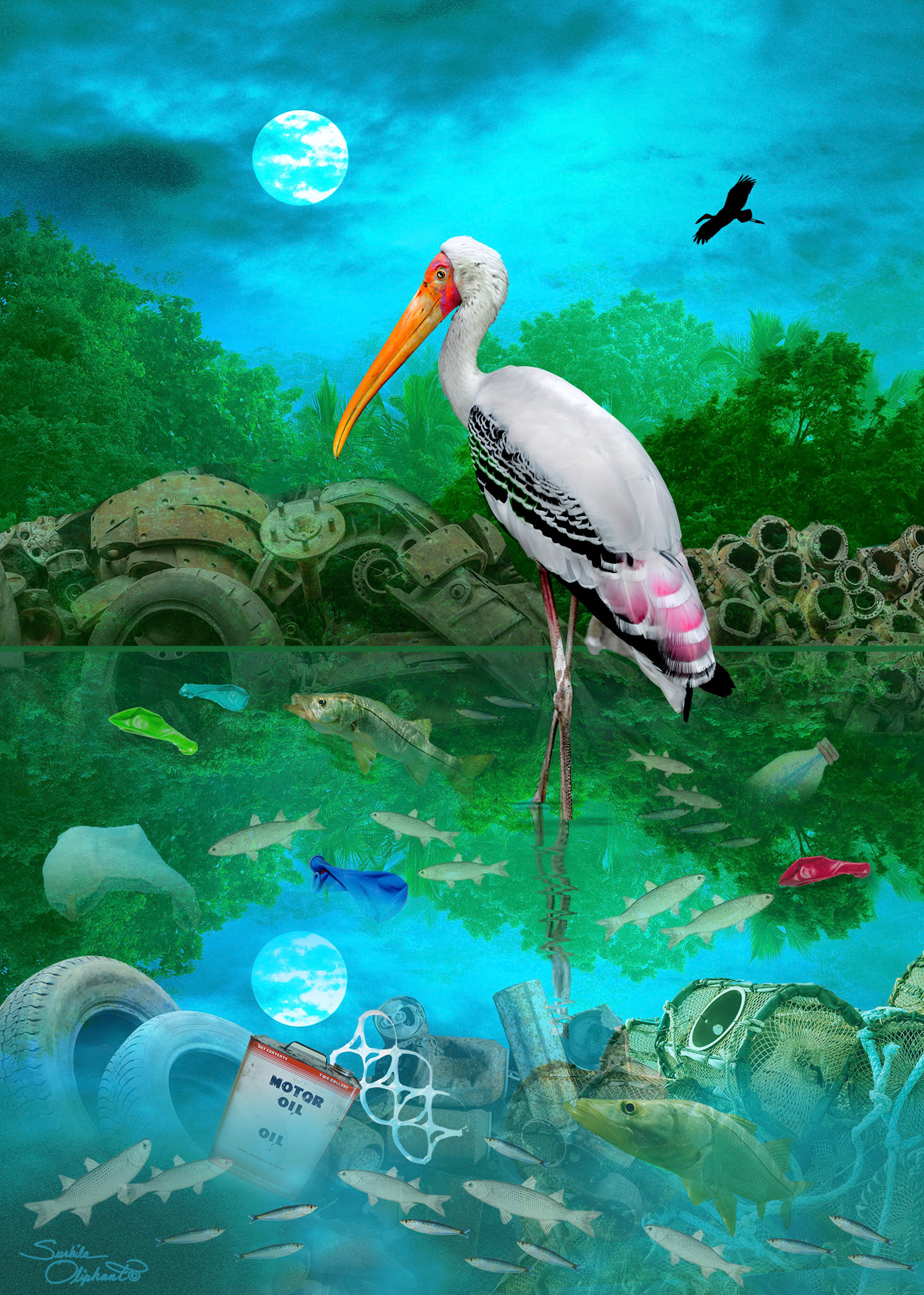 Sushila Oliphant [Recognized for Uniqueness of Concept and Originality] - Water-Foul - mixed media - www.sushilaoliphant.com