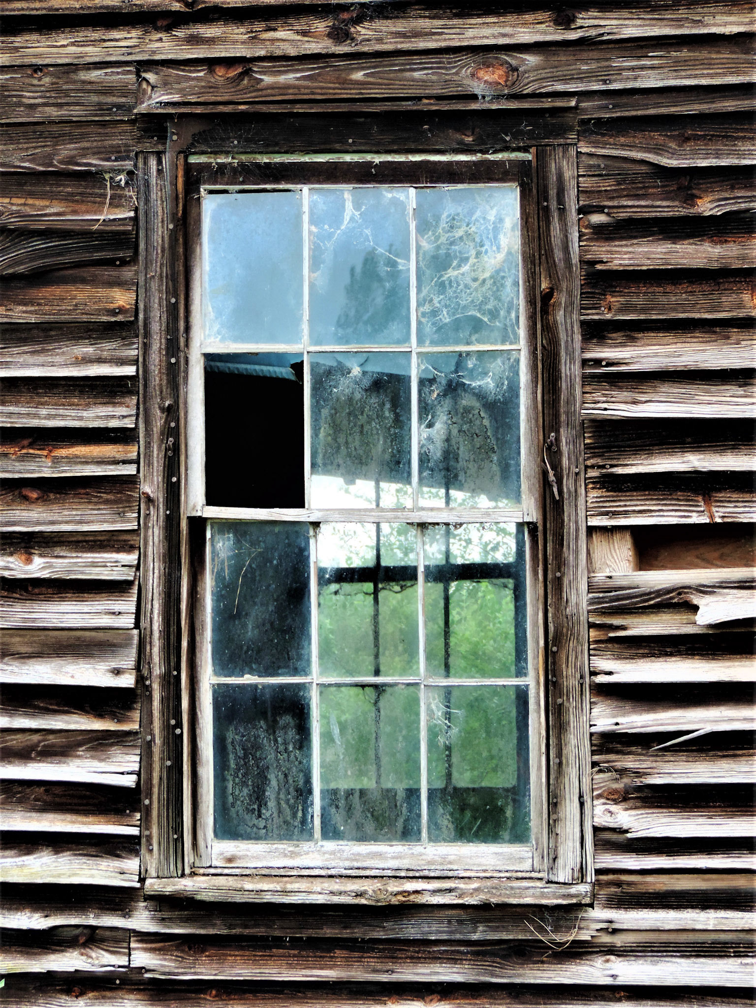 Kathleen Johnston - Time Portal - photography