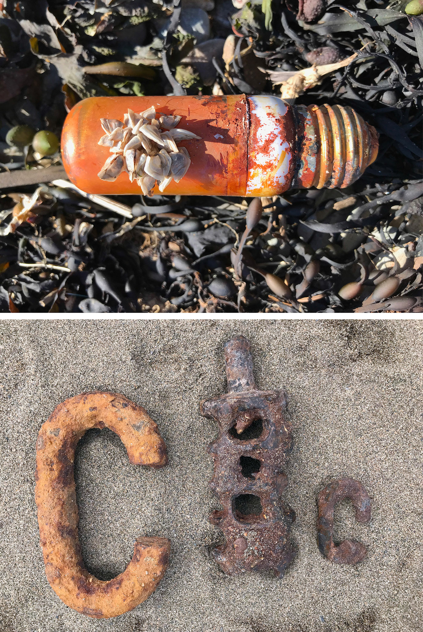 MJ Edwards [Portfolio Selection] - Gooseneck Barnacles, Lightbulb and Rusty Letters - photography - www.mjedwards.ca
