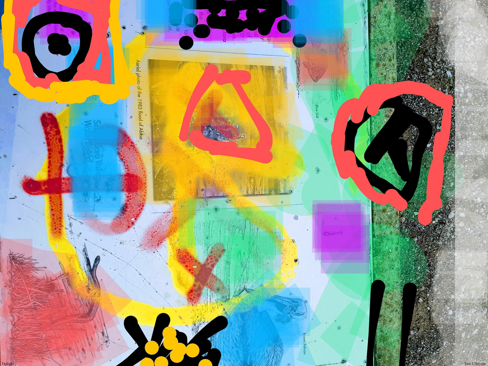 Tim J. Myers - Delight - mixed media - www.timmyersstorysong.com