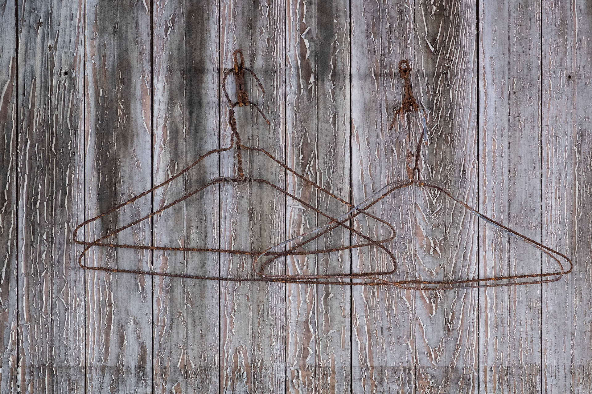 Jeffrey Stoner [Portfolio Selection] - Hanging in There - photography - www.jeffreystonerphotography.com