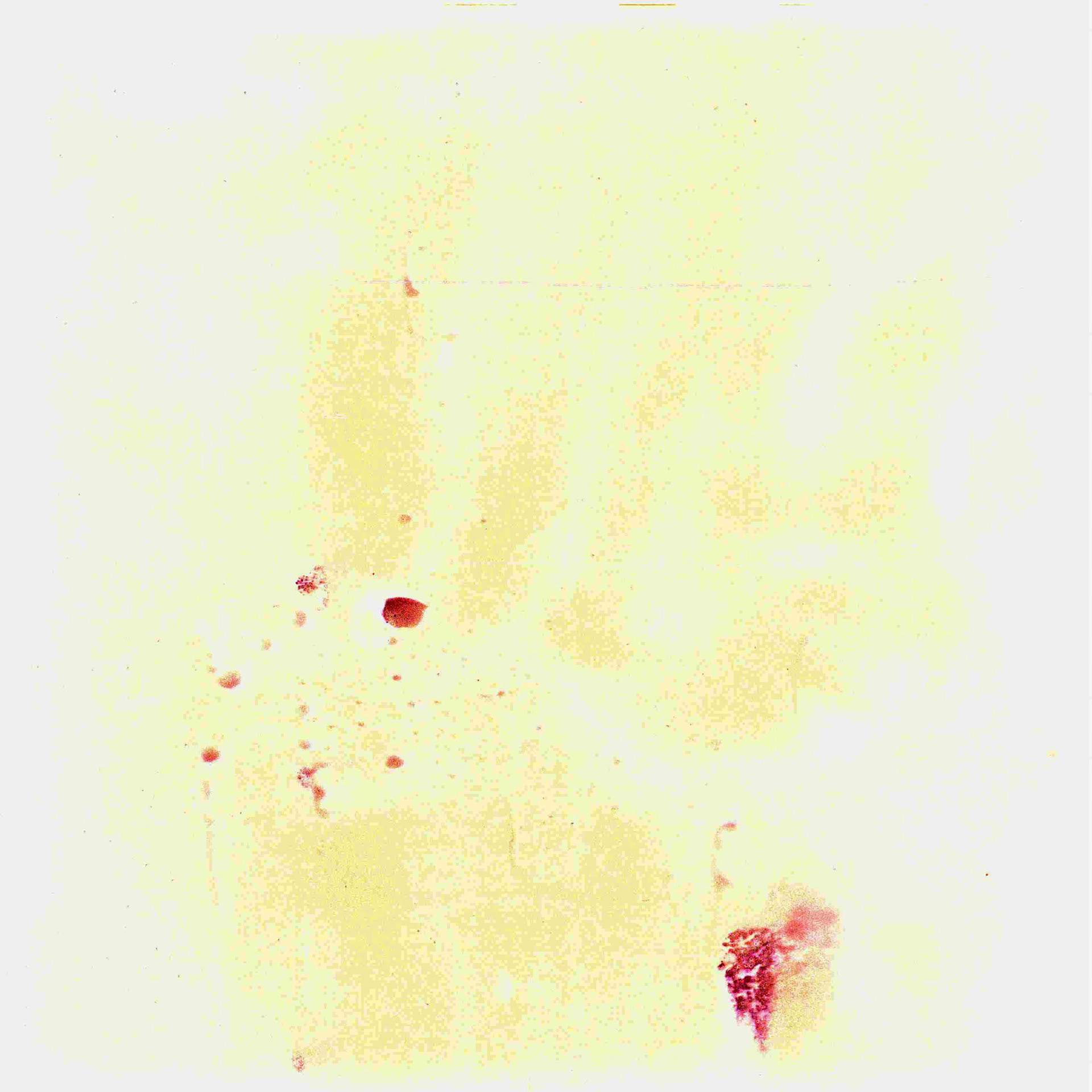 Myles Gallagher - Evidence by Design - photograph