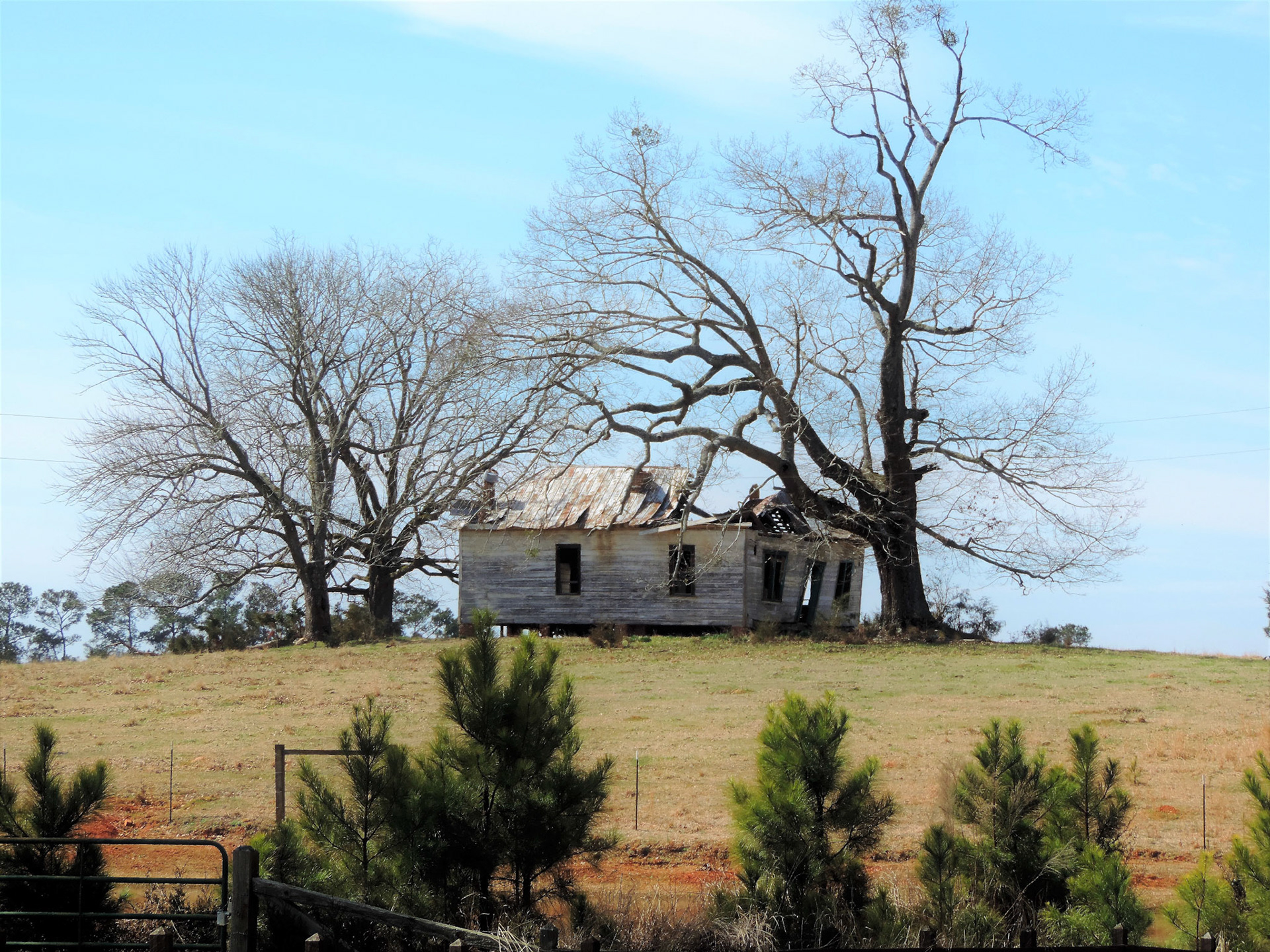 K. L. Johnston - Home Place - photography