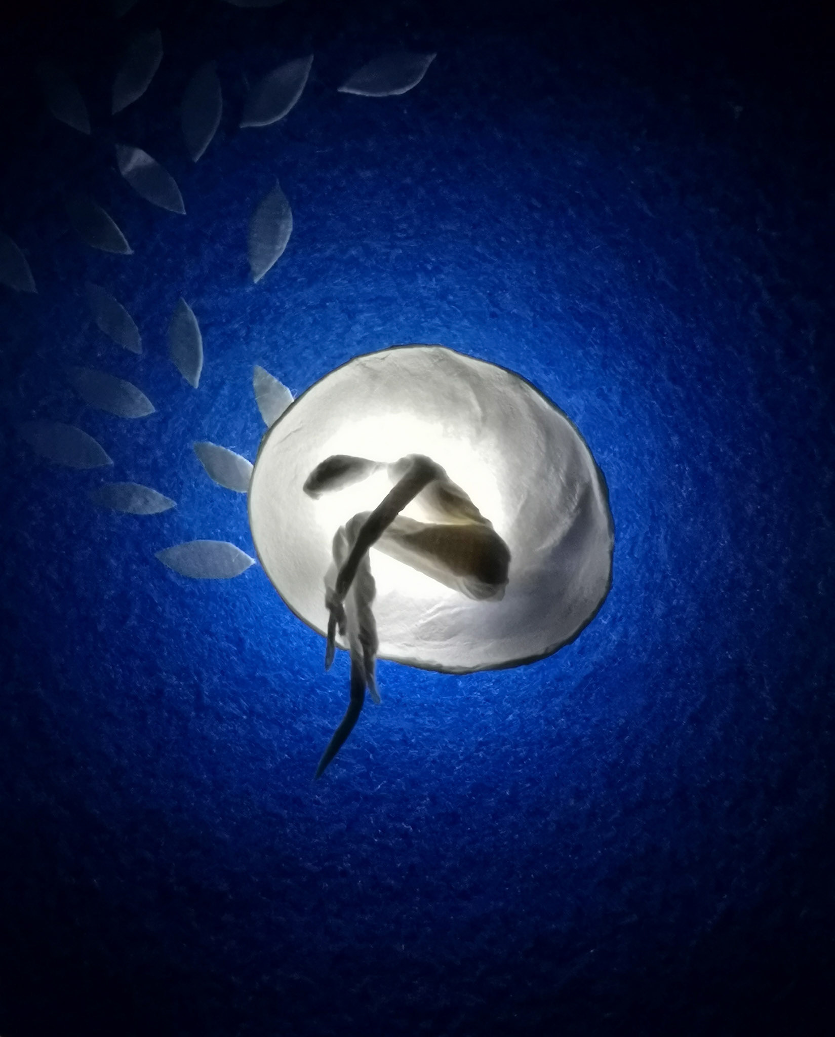 Shuailang Chen [Recognized for Uniqueness of Concept and Originality]  |  Man in the Rain Flower Pebble  |  rice paper, rain flower pebble, flannelette, light